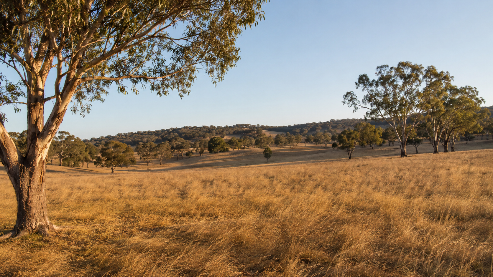What Drives the Cost of Building a Home in the Macedon Ranges?