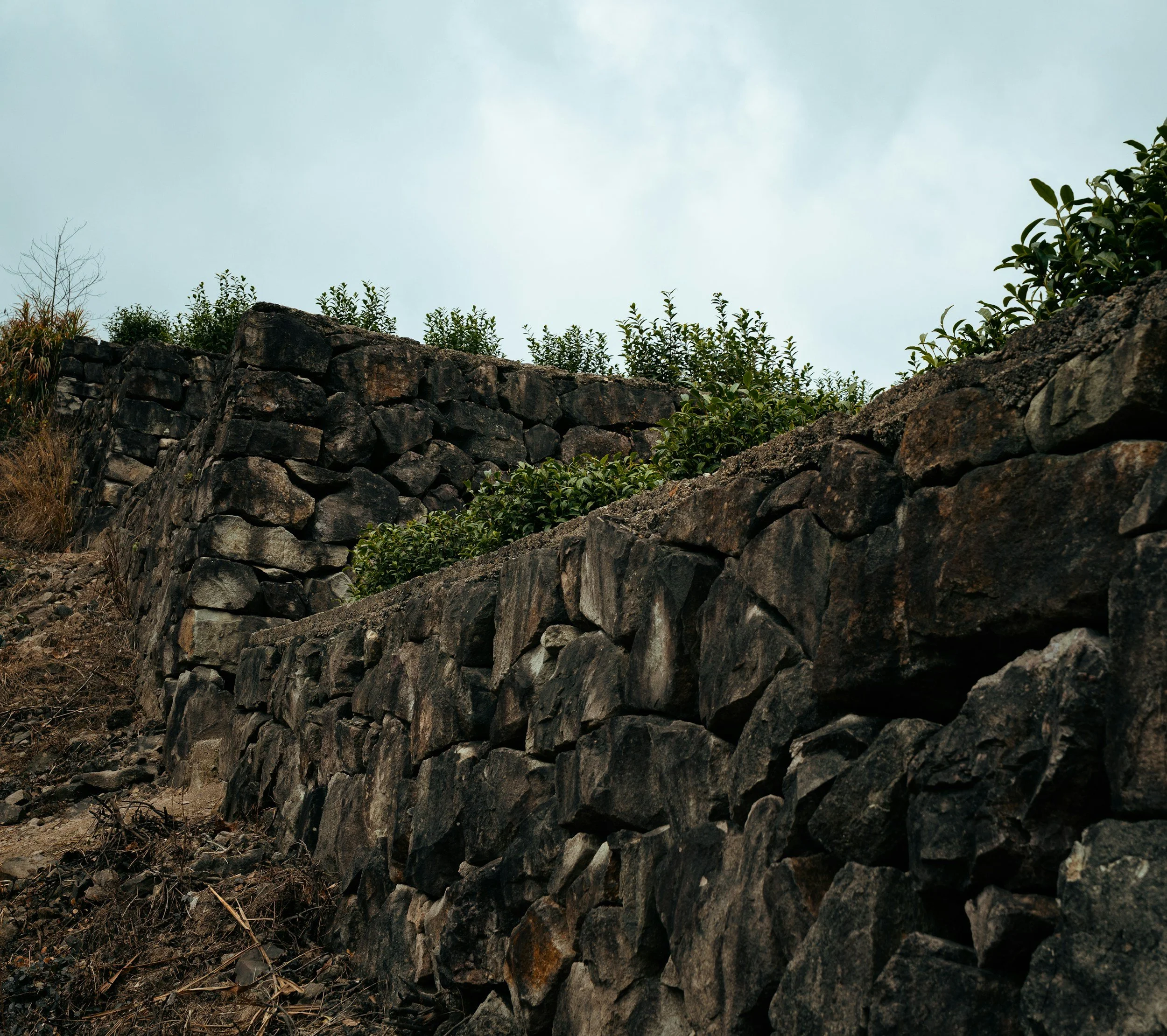 Retaining Walls on Sloping Blocks: When You Need Them