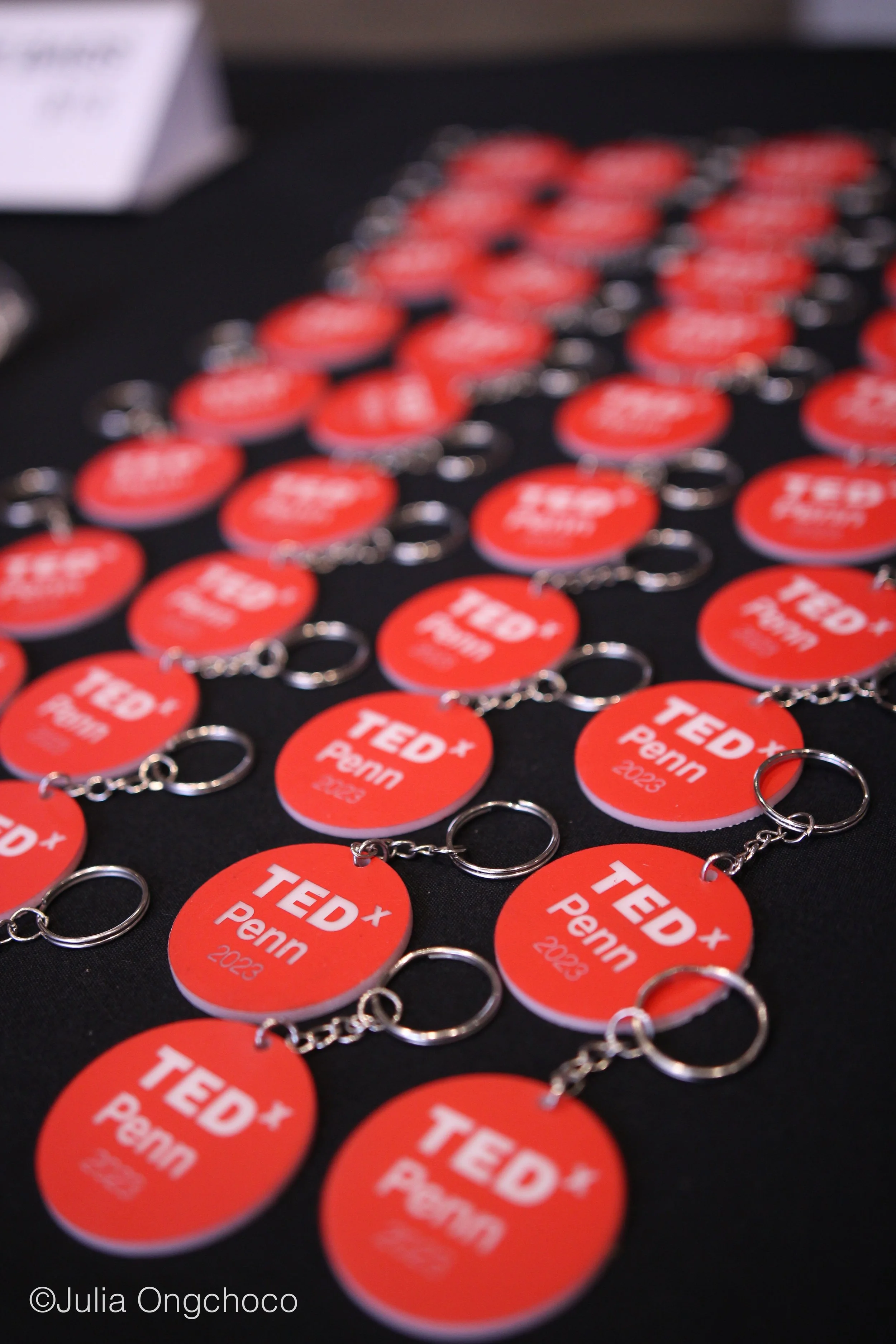TEDxPenn_Julia207.jpg
