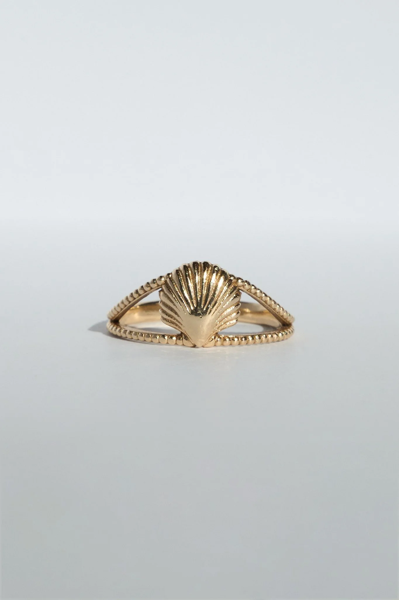 SHELL GOLD 1.jpg
