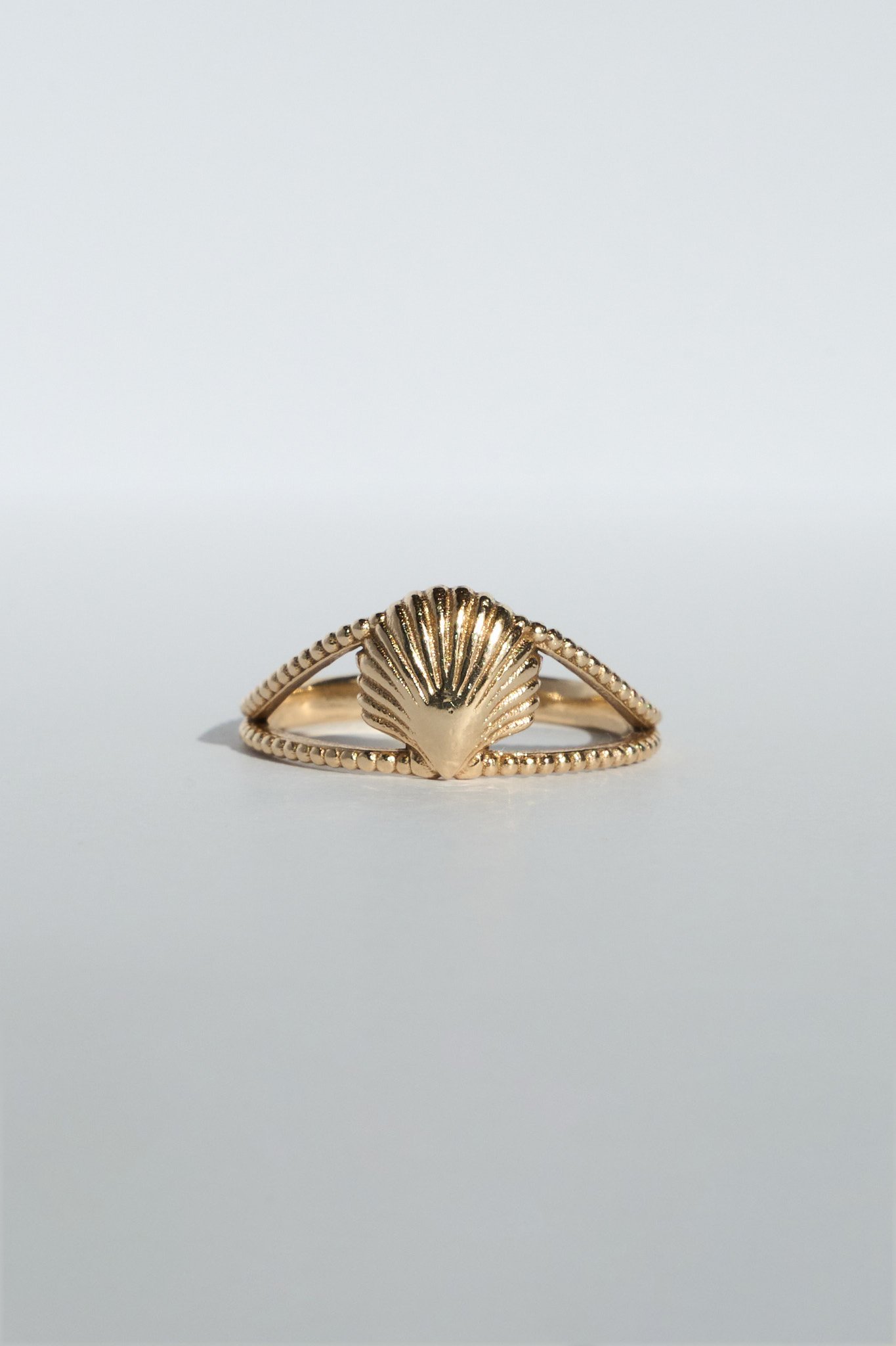 SHELL GOLD 1.jpg