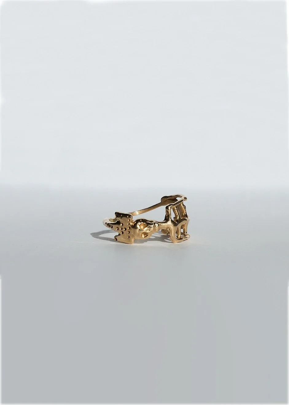 RING PHOTOSHOP 2.jpg