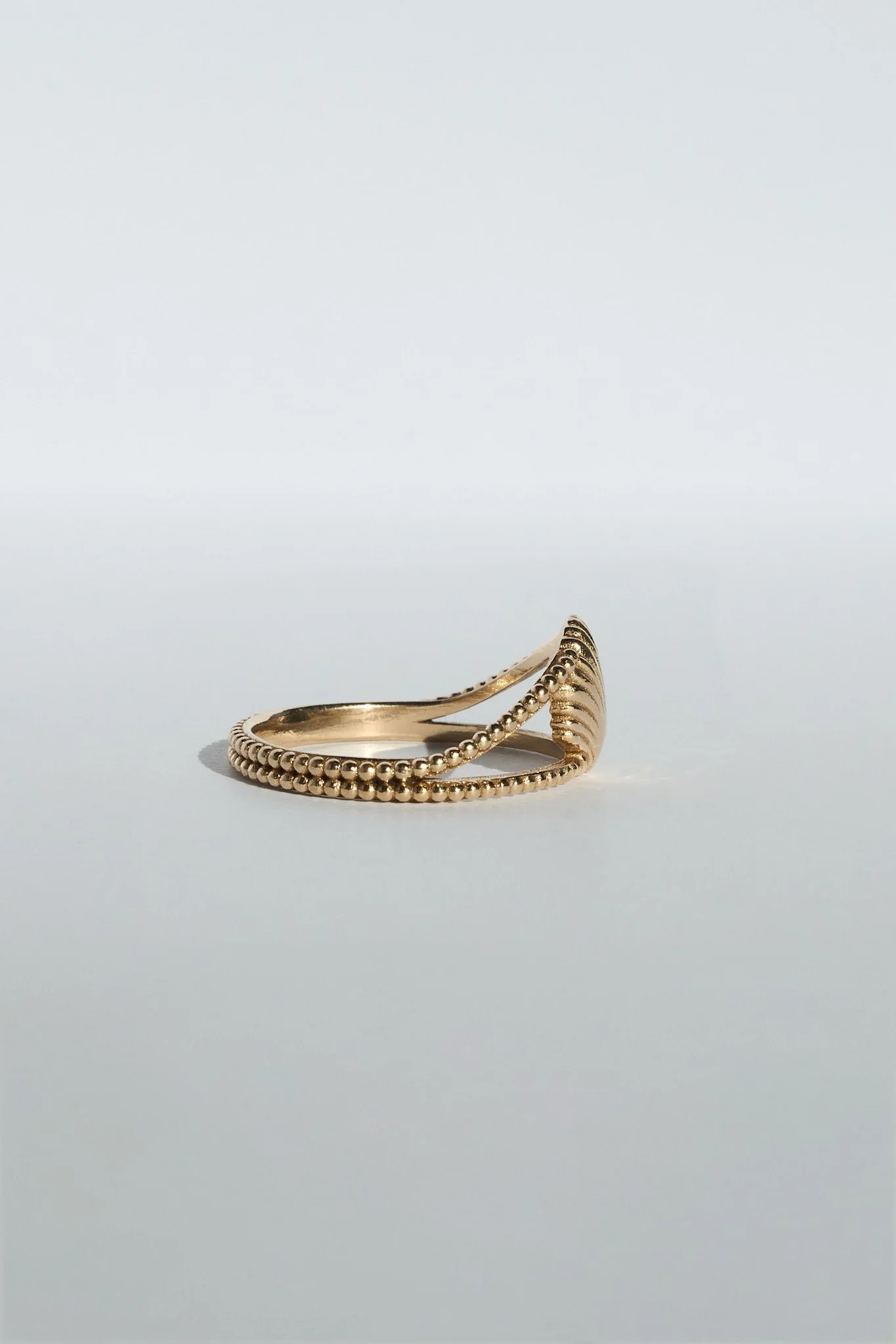 SHELL GOLD 2.jpg