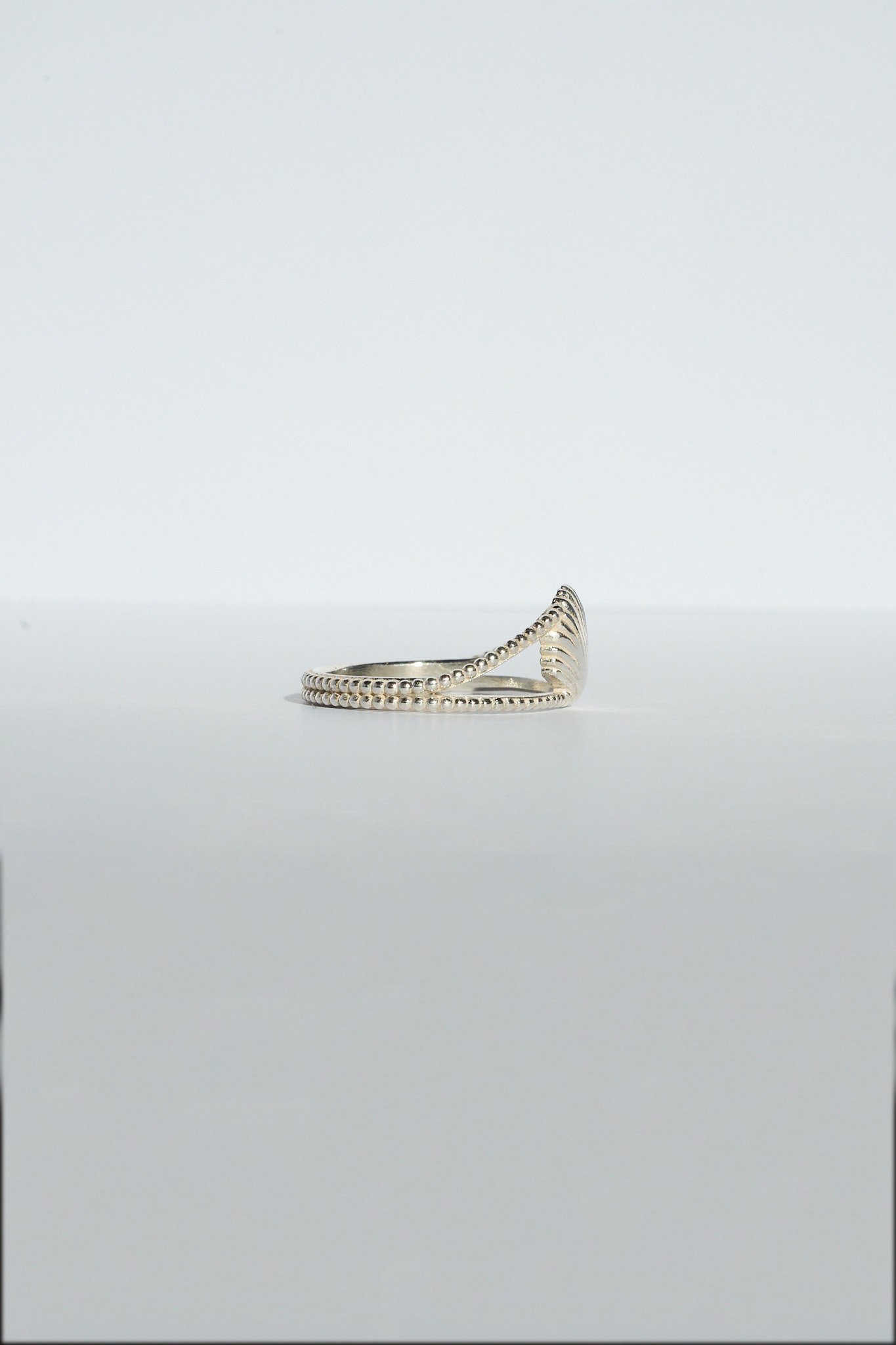 SHELL SILVER 2.jpg