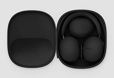 ace_headset_in_carryingcase_black.jpg