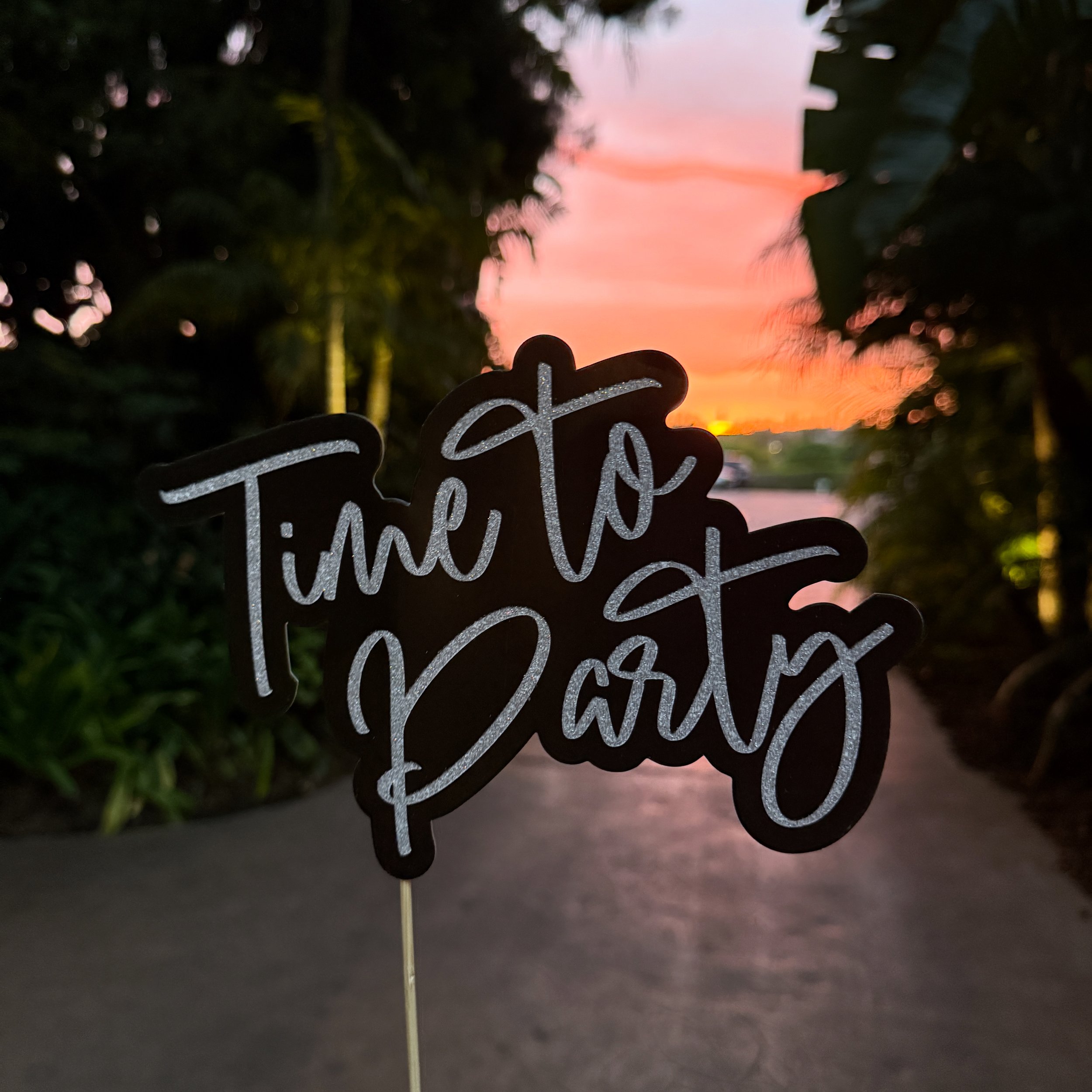 "Time to Party" Black and Silver Sparkle Stick Prop