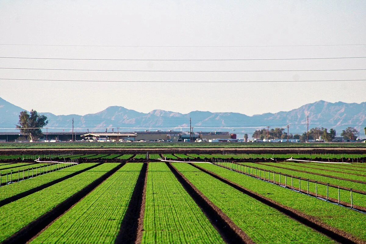 Imperial Irrigation District Approves Landmark Water Conservation Agreement to Protect Lake Mead