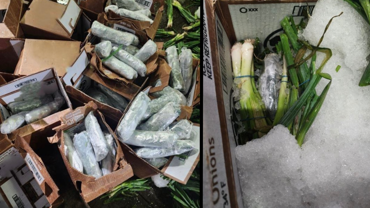 CBP Officers Seize Over 646 Pounds of Methamphetamine Hidden in Green Onion Shipment at Calexico Commercial Facility