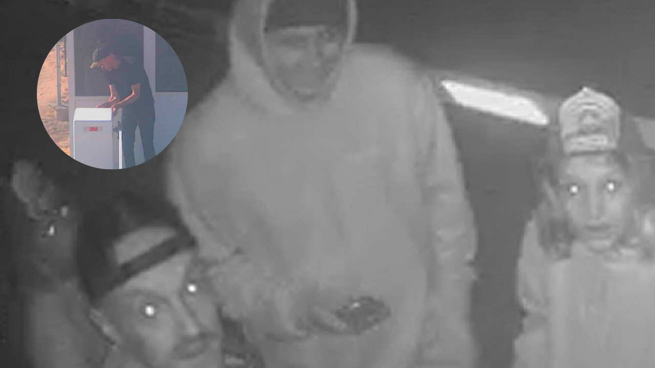 Father Uses Children in Vandalizing Slowjamastan: ‘Micronation’ Grapples with Disturbing Break-In