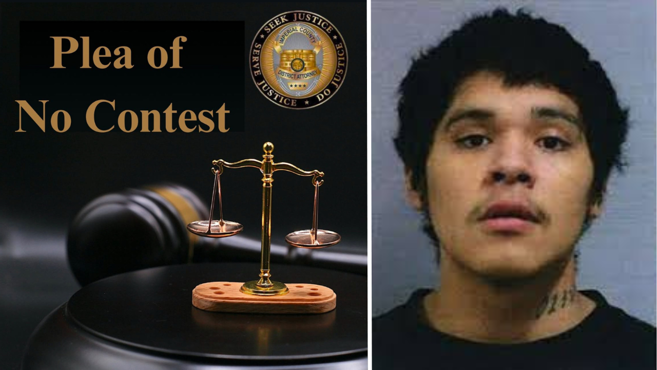 Winterhaven Man Pleads No Contest to Attempted Murder in Brutal Domestic Violence Case