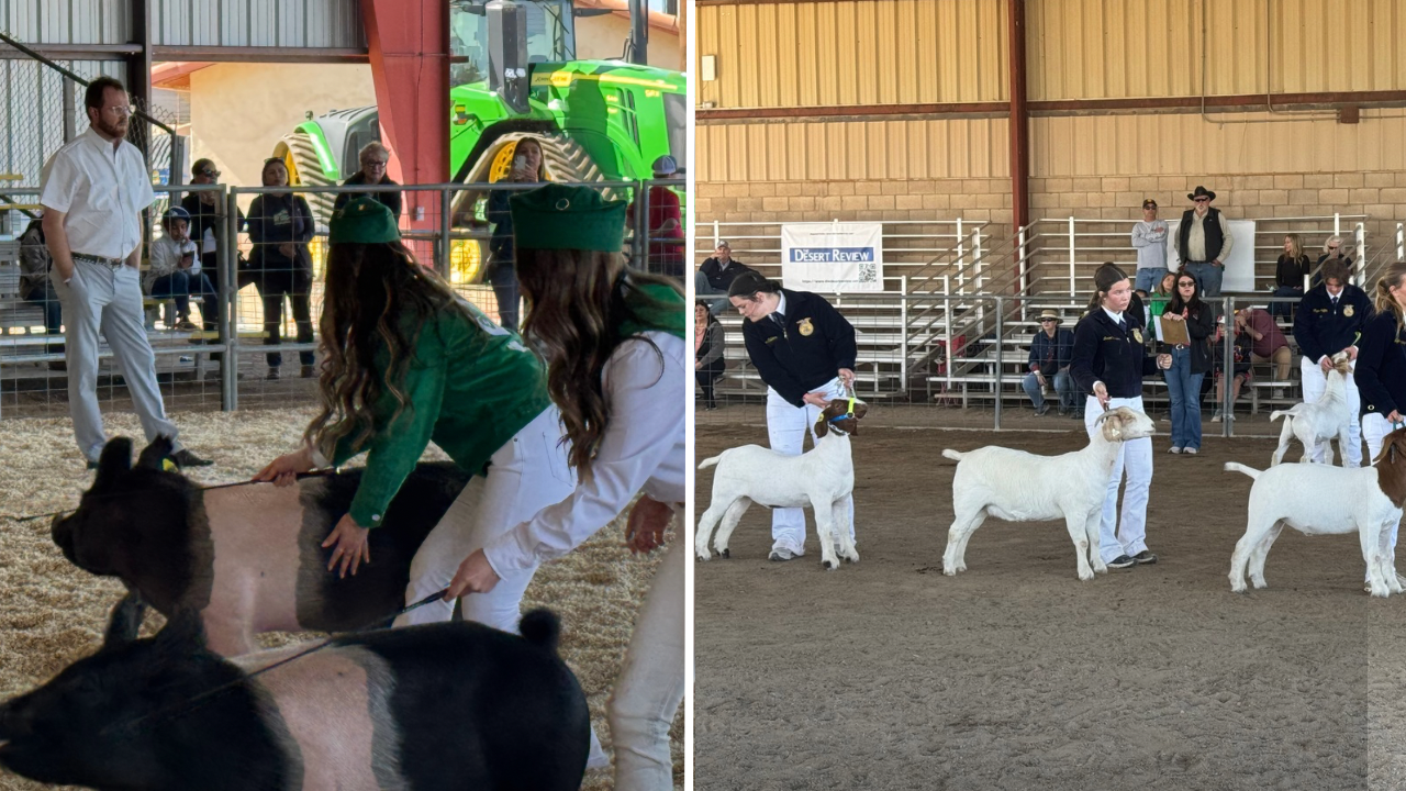 Dedication and Hard Work Rewarded at Parade of Champions Ahead of Auction Weekend