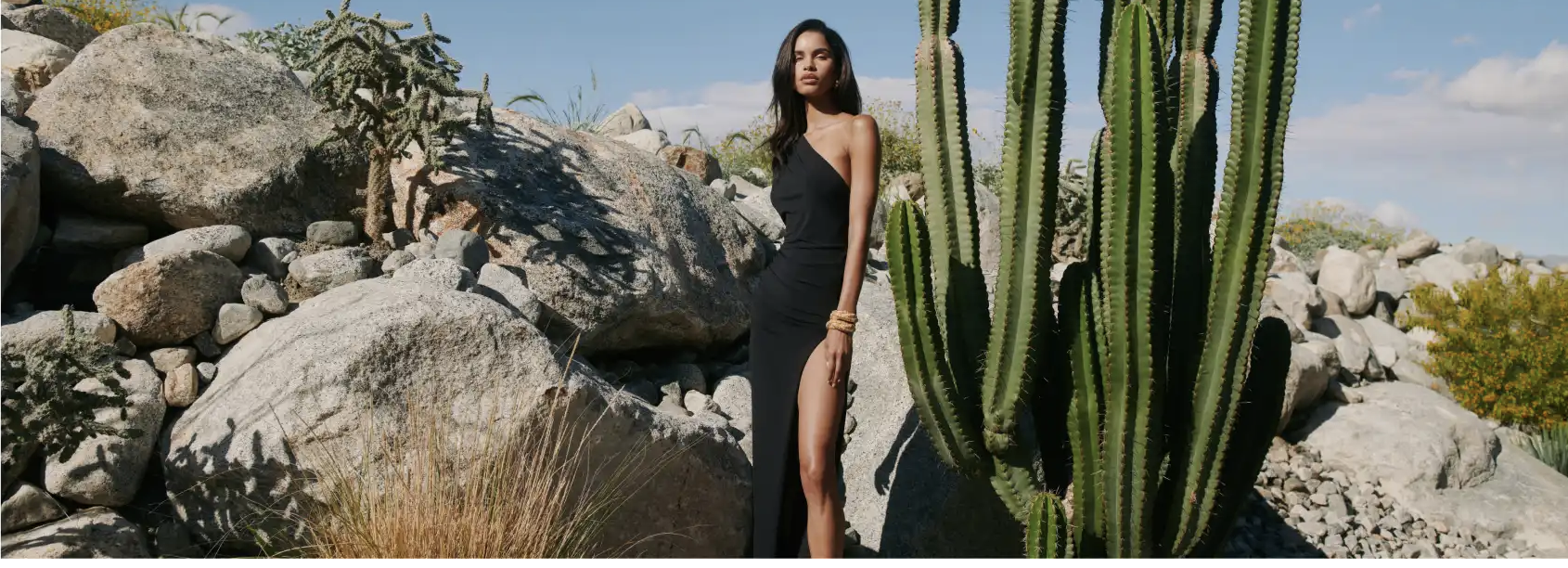 A woman in a black dress with a high slit stands among rocks and large cacti in a desert landscape under a blue sky.