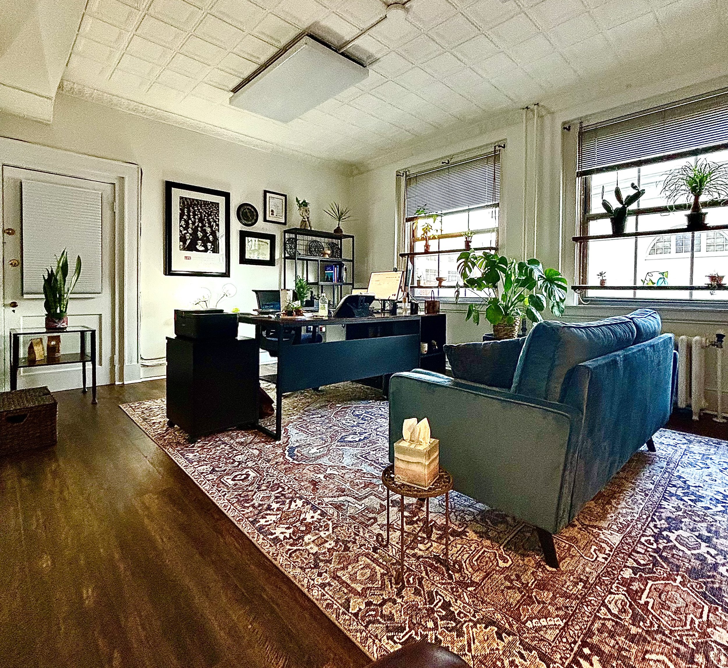 Living room with a blue velvet armchair, a large patterned area rug, houseplants on a side table and windows, and framed pictures on the wall.
