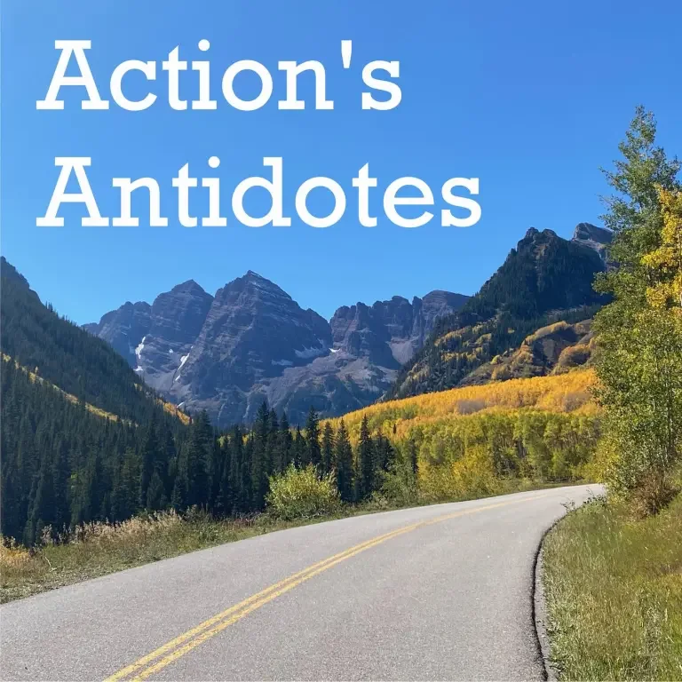 Listen Now: Rethinking Choices and Tech Overload | Action's Antidotes