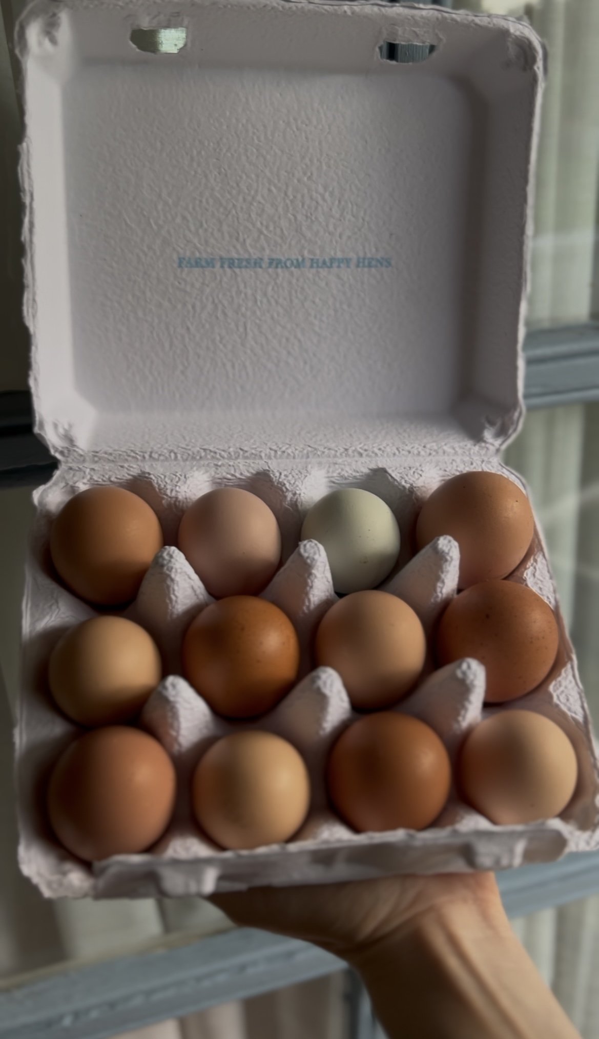 Farm Fresh Eggs Local Weekly Pre-Order