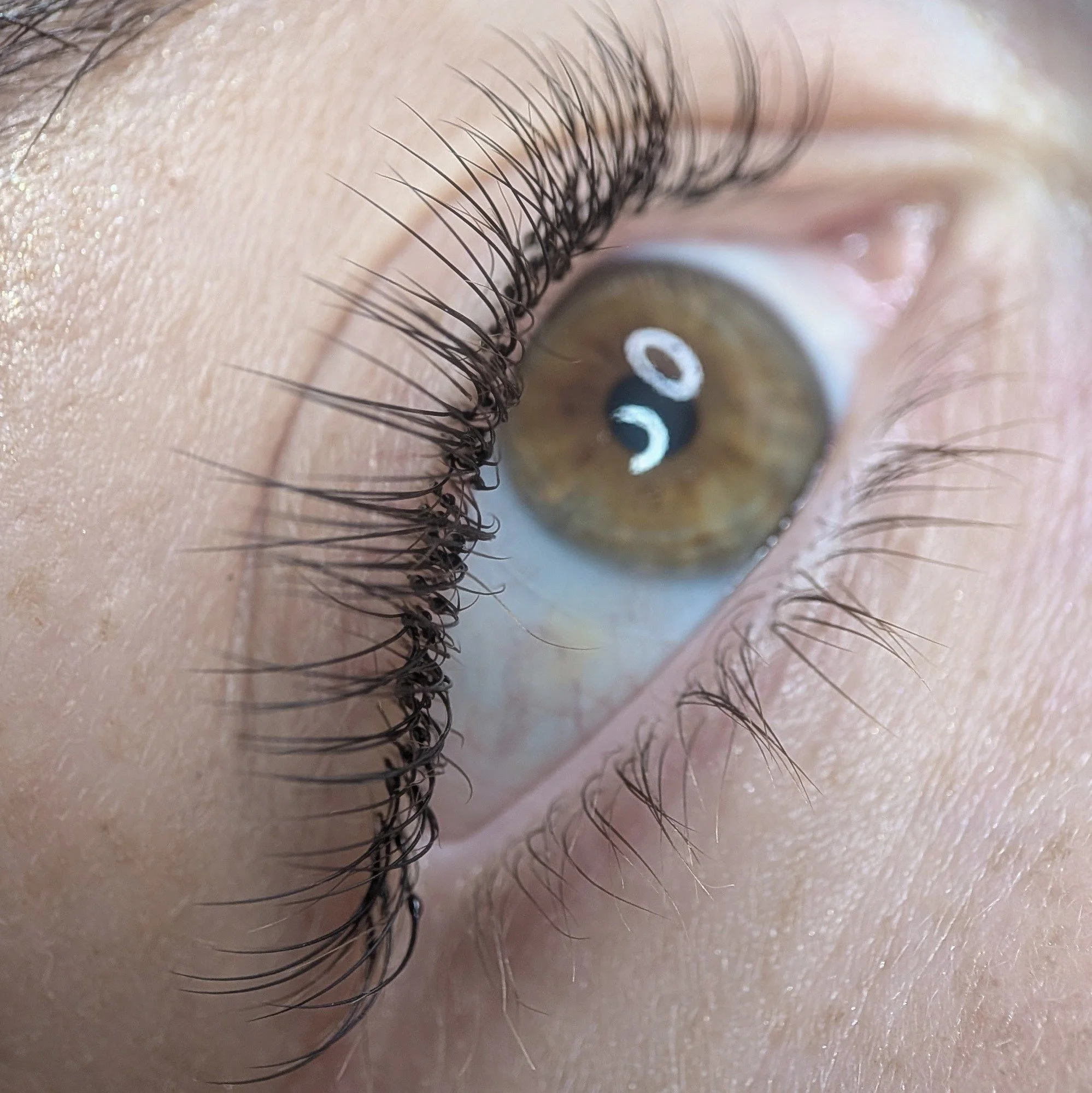 Classic eyelash extensions in Mosman Sydney with soft volume, length and refined definition