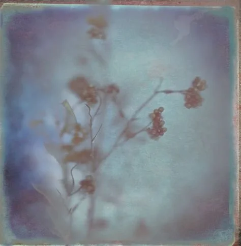 blue flowers.jpg