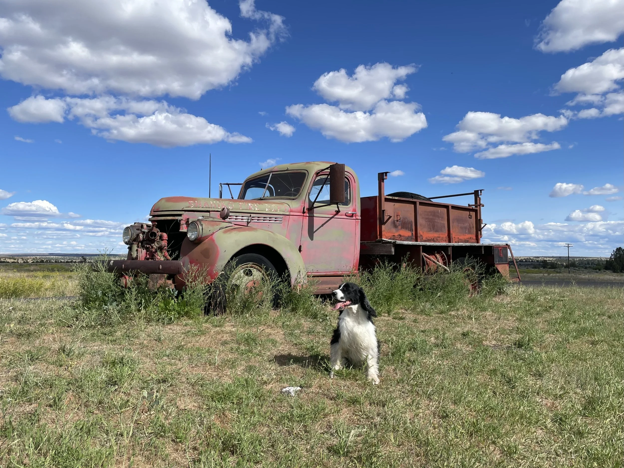 Pip at the old fire truck in Shaniko, Oregon