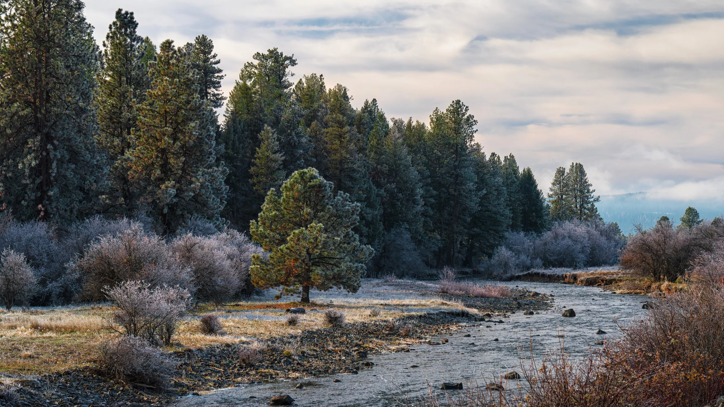 This photo is of Camas Creek near Bear Wallow campground near Ukiah, OR. Notice frost still on the trees.
