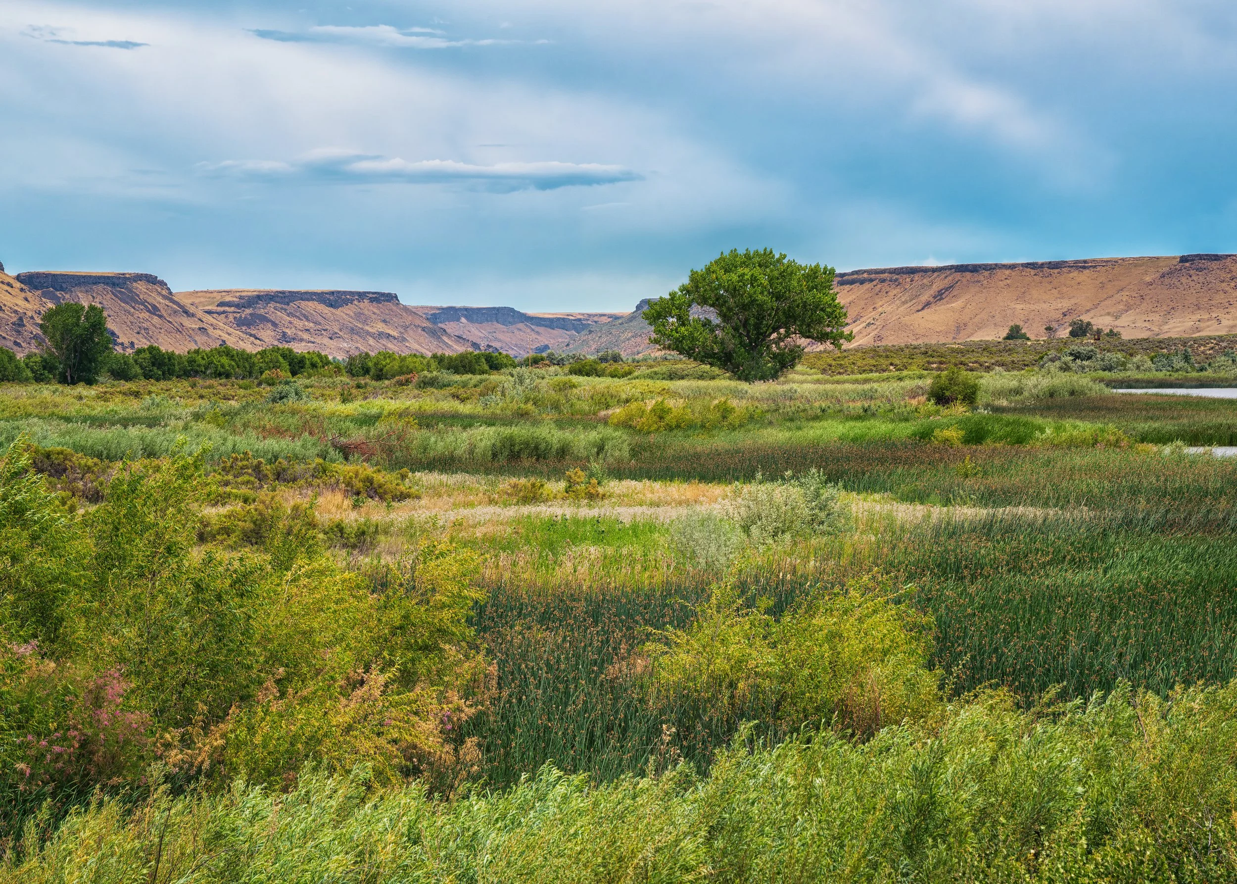 This is a bird sanctuary in Idaho. Photo was June 2023