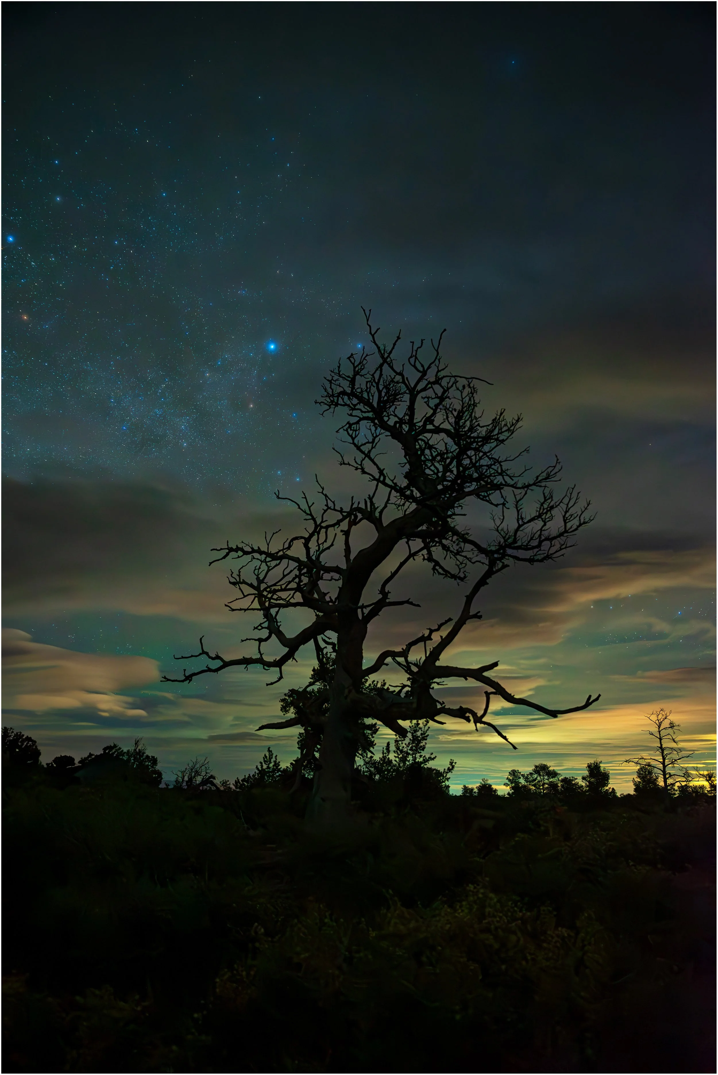 This was taken about 11:30 at night at Craters of The Moon
