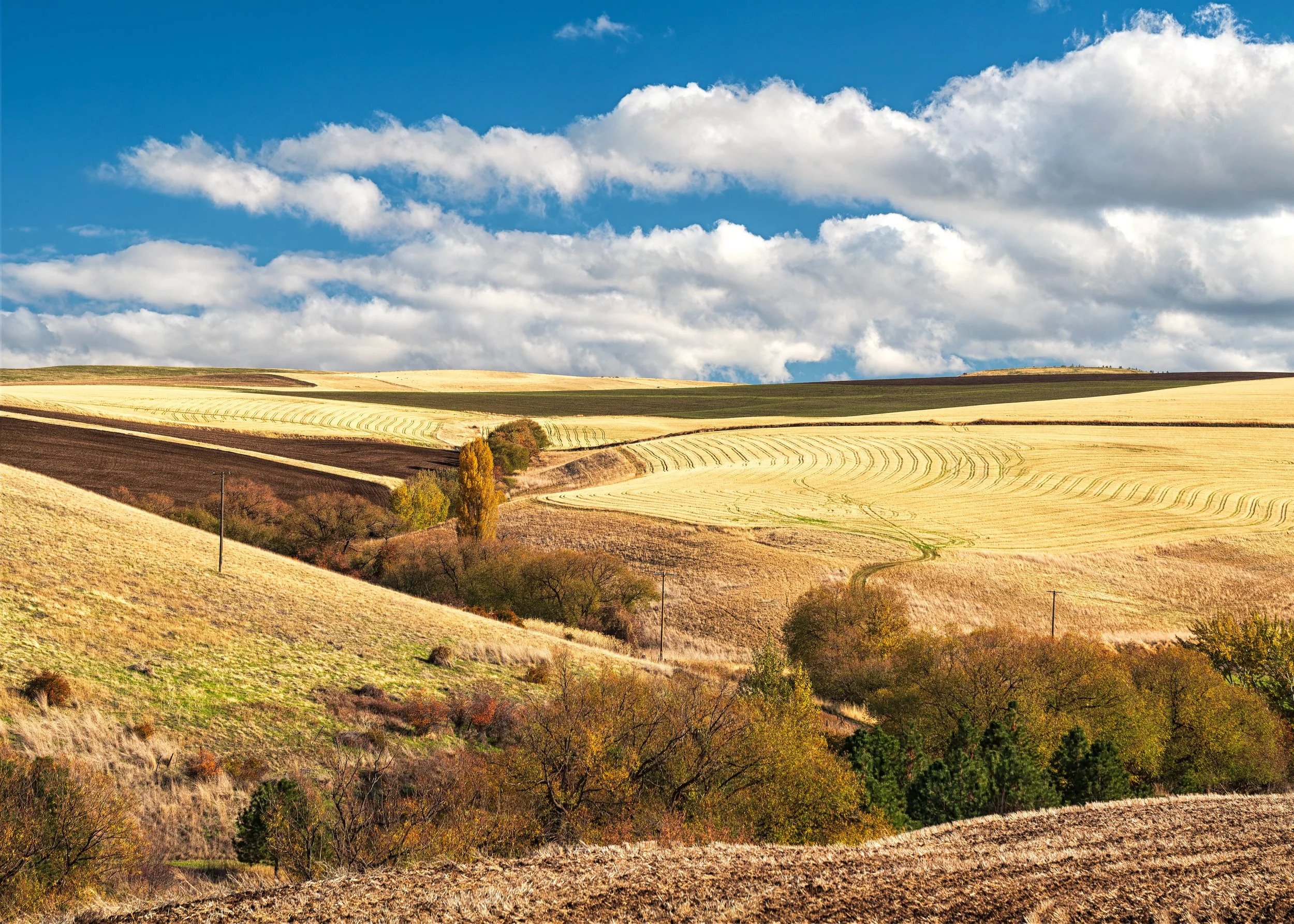 Another photo of the fall color and the golden fields. I like this photo for its varying shapes, colors and the sky.