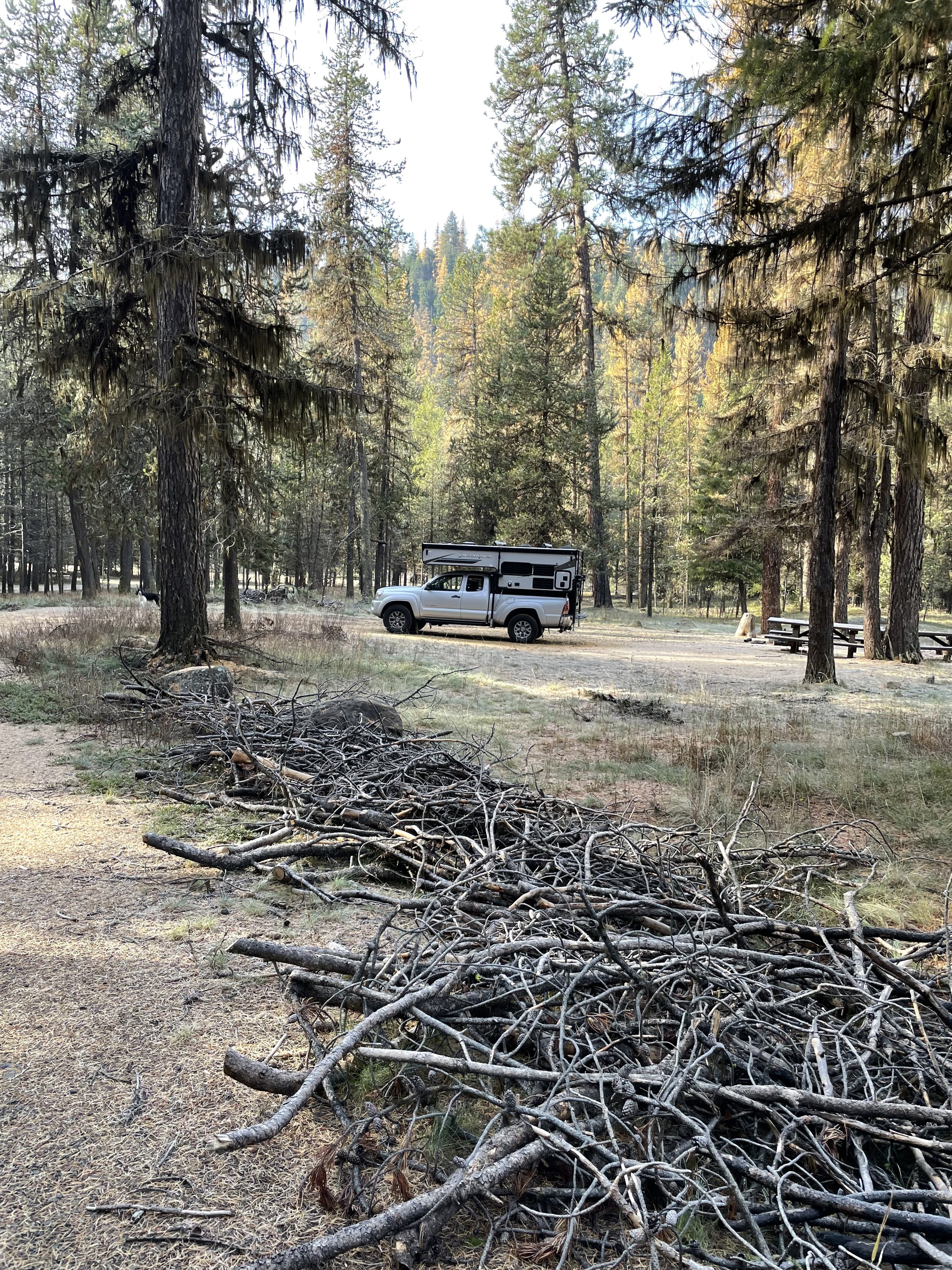 This was taken at Bear Wallow Park outside of Ukiah, OR. This is the morning where it was 22 degrees.