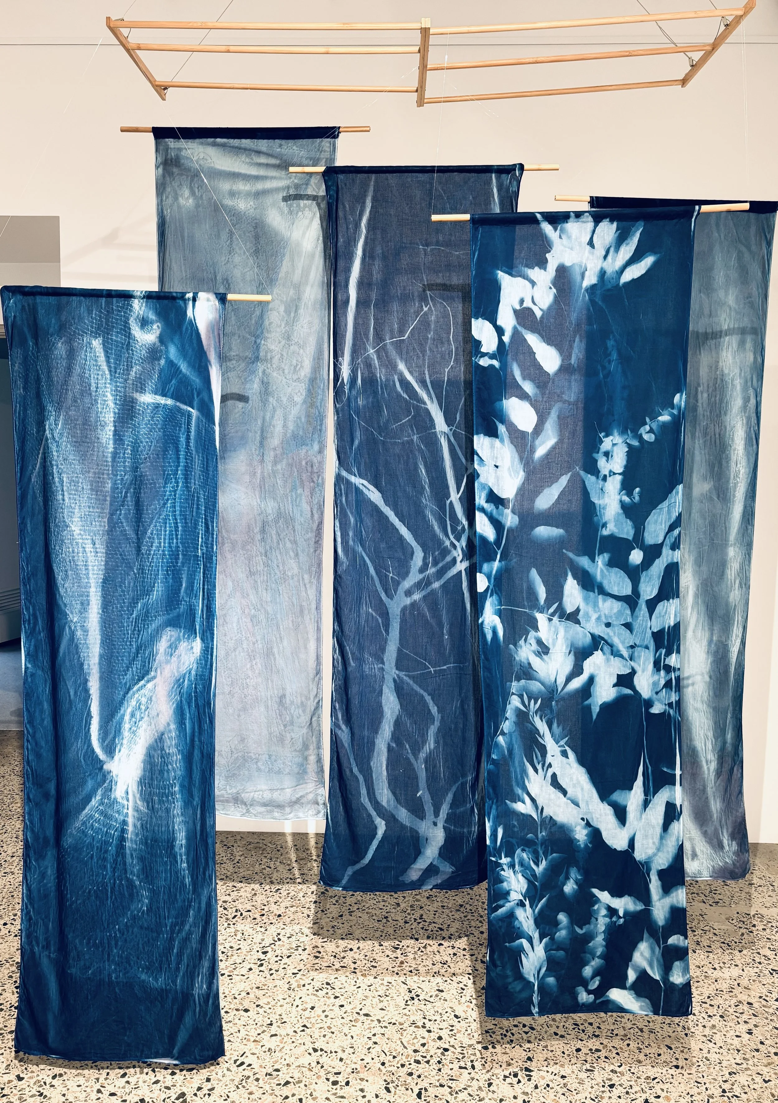 2. a-e) Kristy Scaddan, 'Transient' install view, 2026, cyanotype on 100% cotton voile, 200 x 50 cm, $190.00 each. 