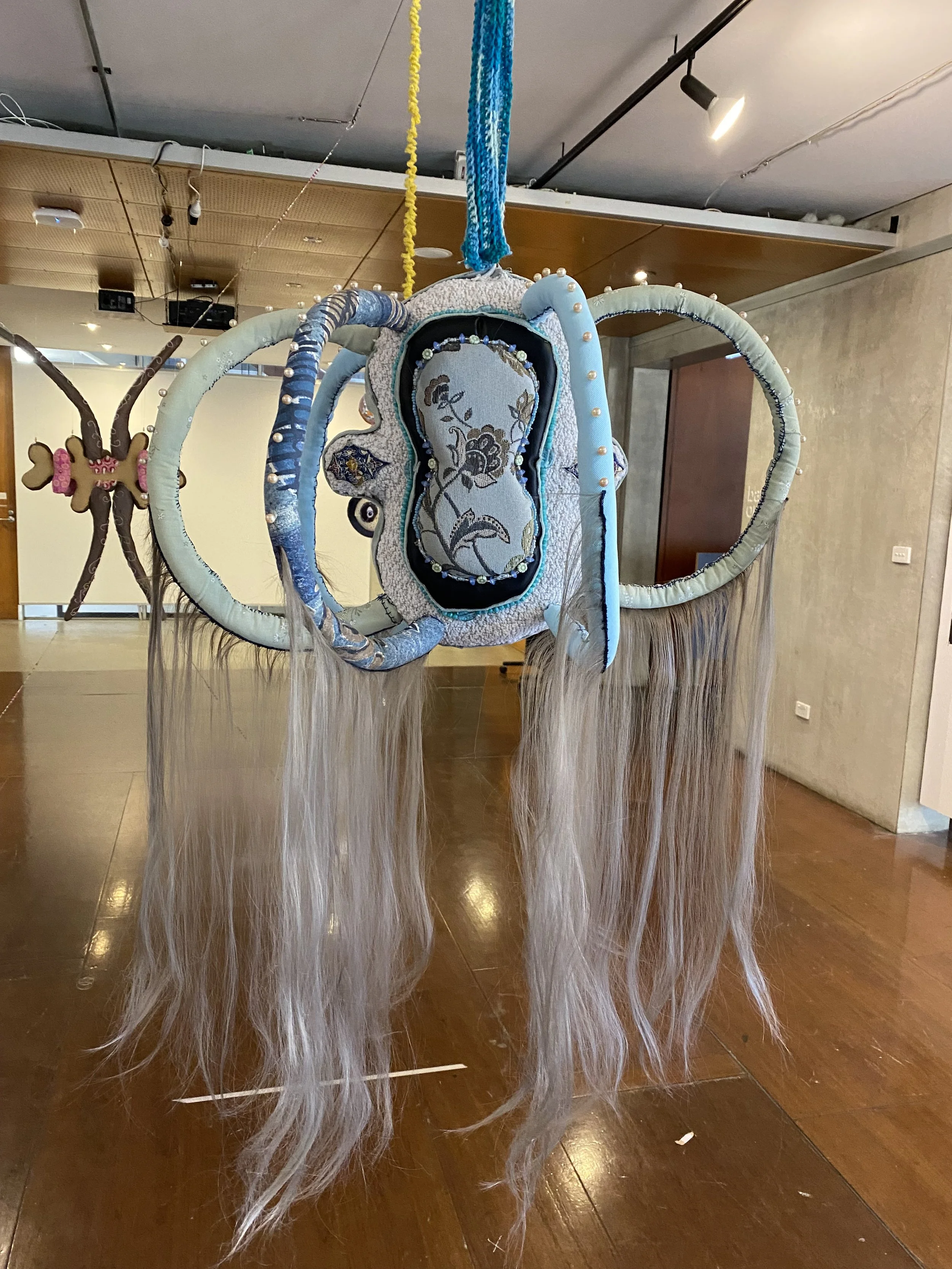 Fem Nuovum: Hair Follicles