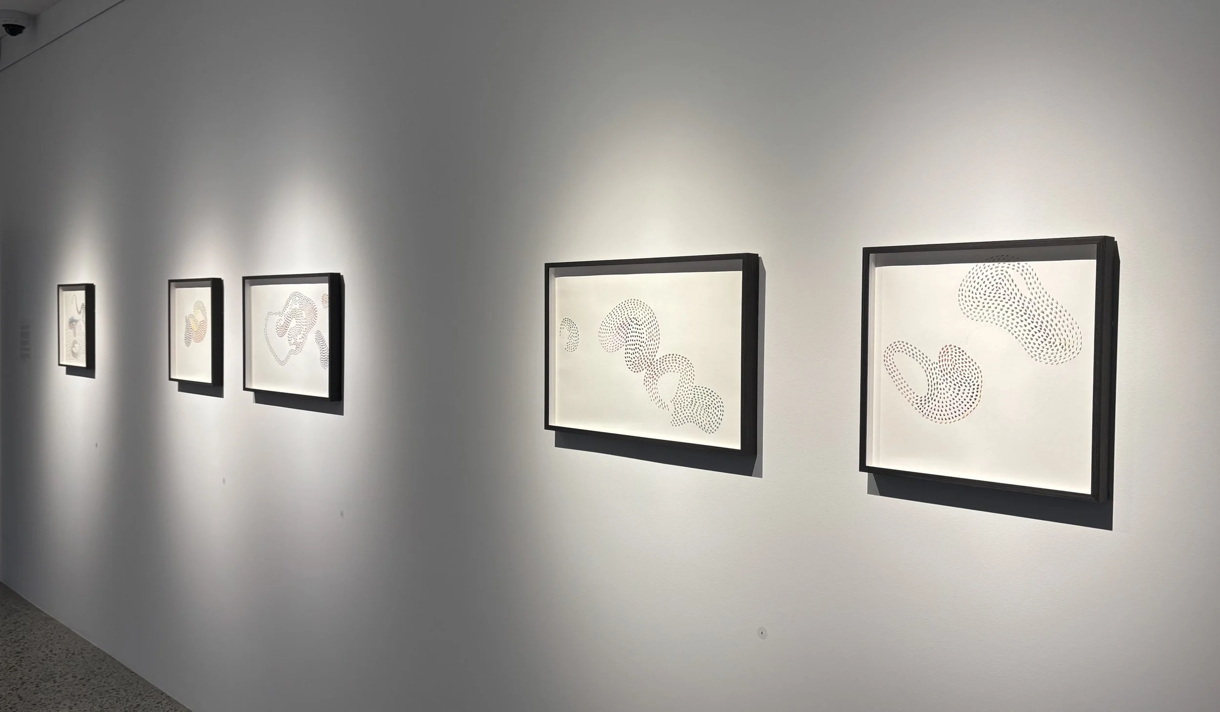 Sarah Thornton-Smith Install View