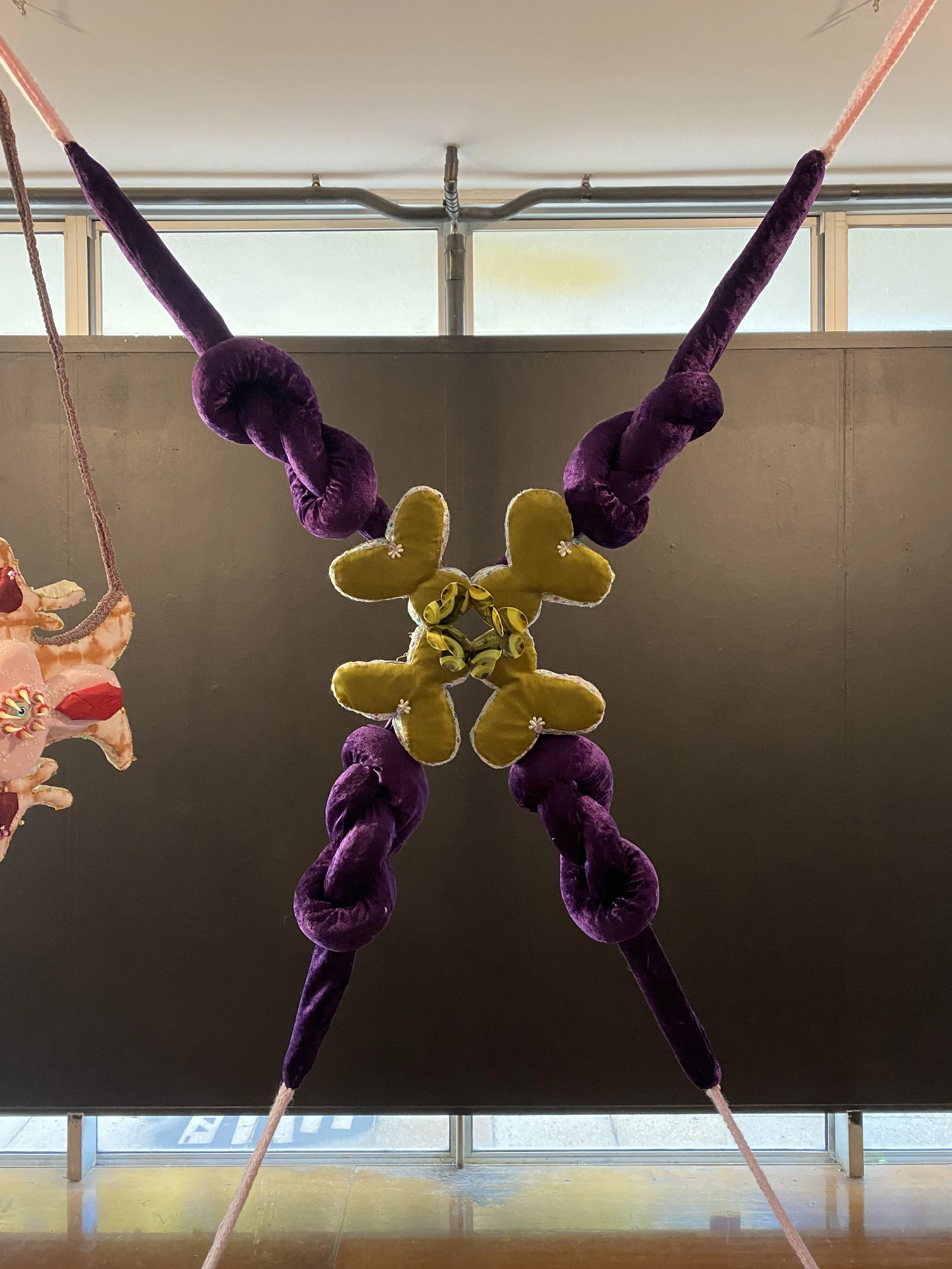 Fem Nuovum: Sweat Glands