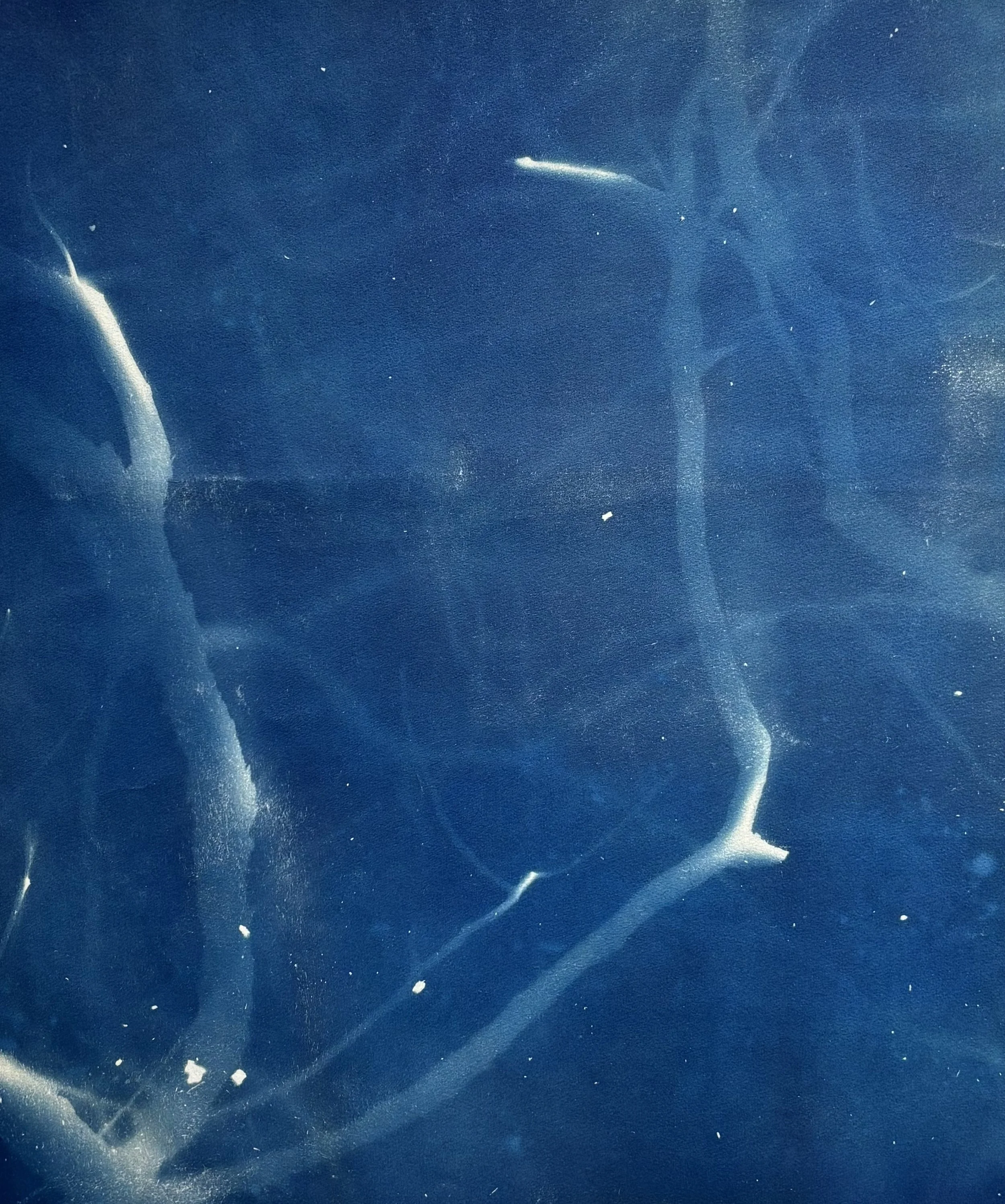 1. f) Kristy Scaddan, 'Branch', 2026, Saunders 190gsm, 100% cotton rag, 49.5 x 43 cm, $90.00. 