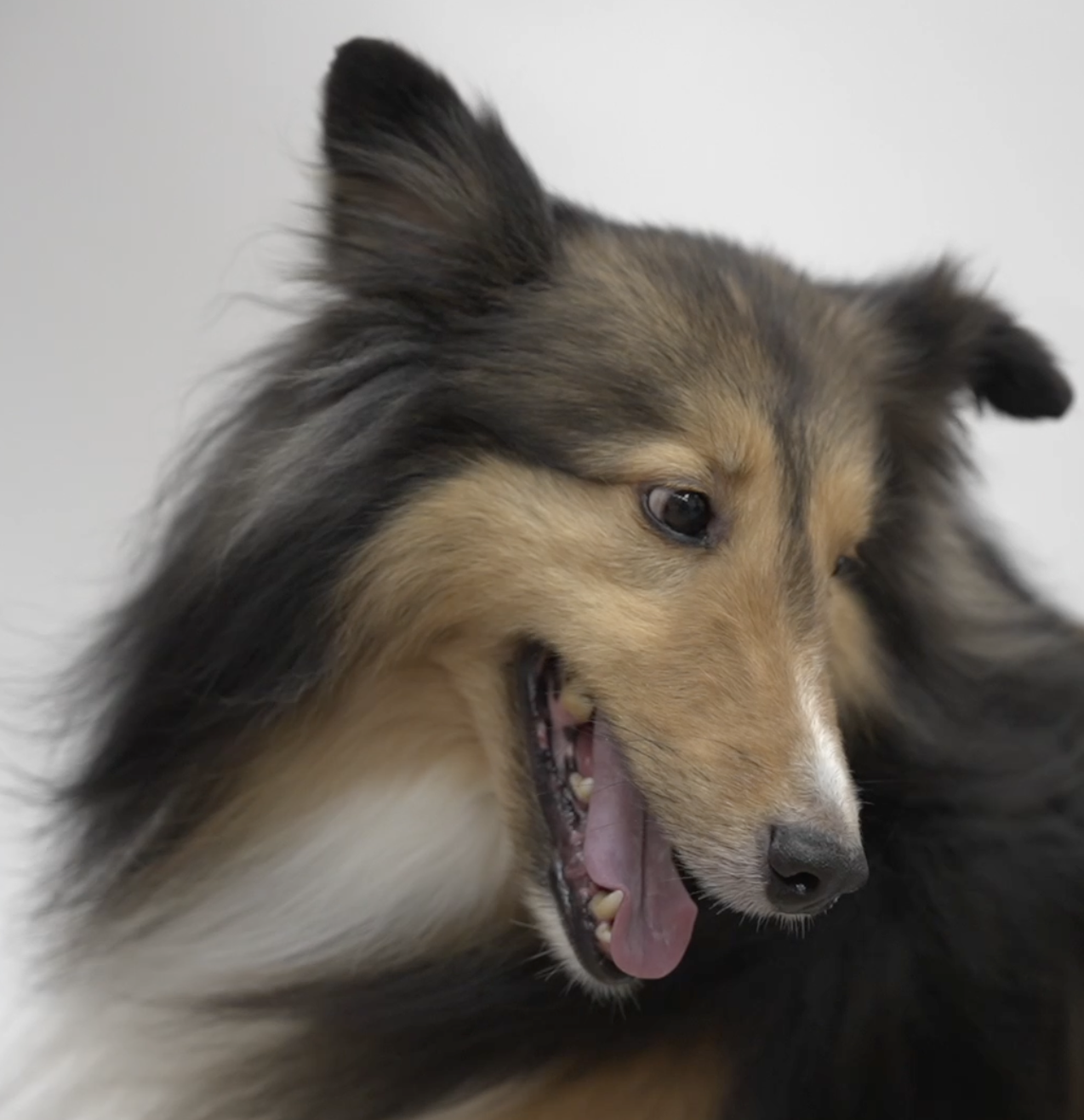 Screenshot 2023-11-17 at 12.49.48 PM.png