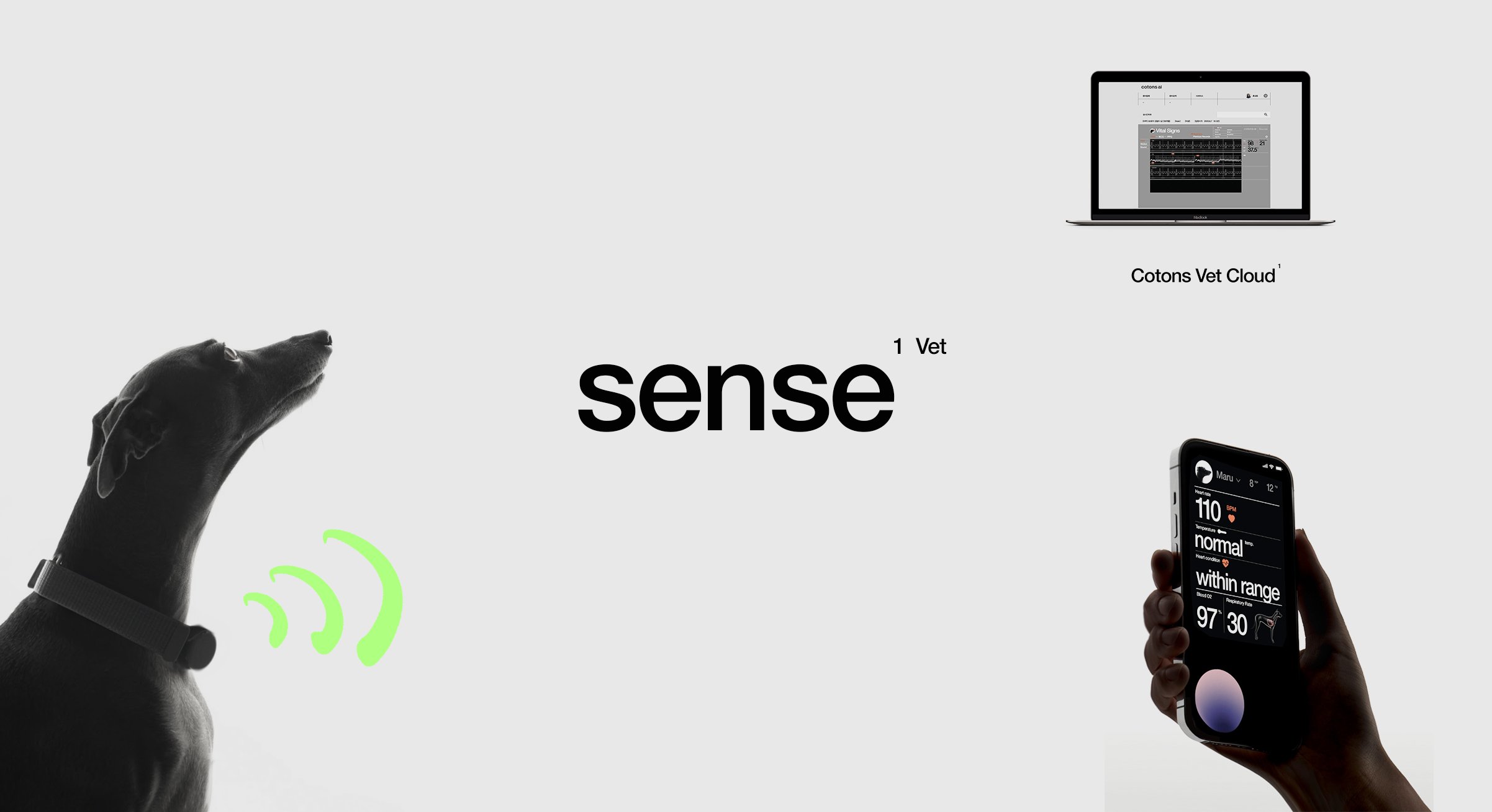 sense1_002.jpg