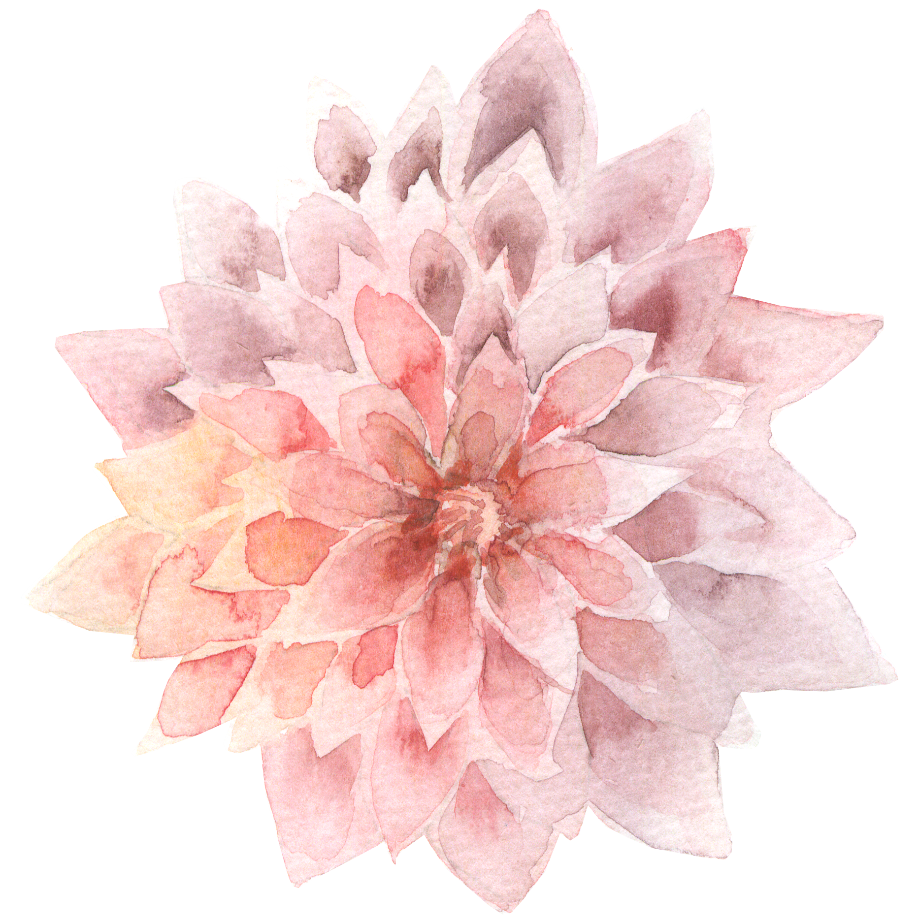 Dahlia.png