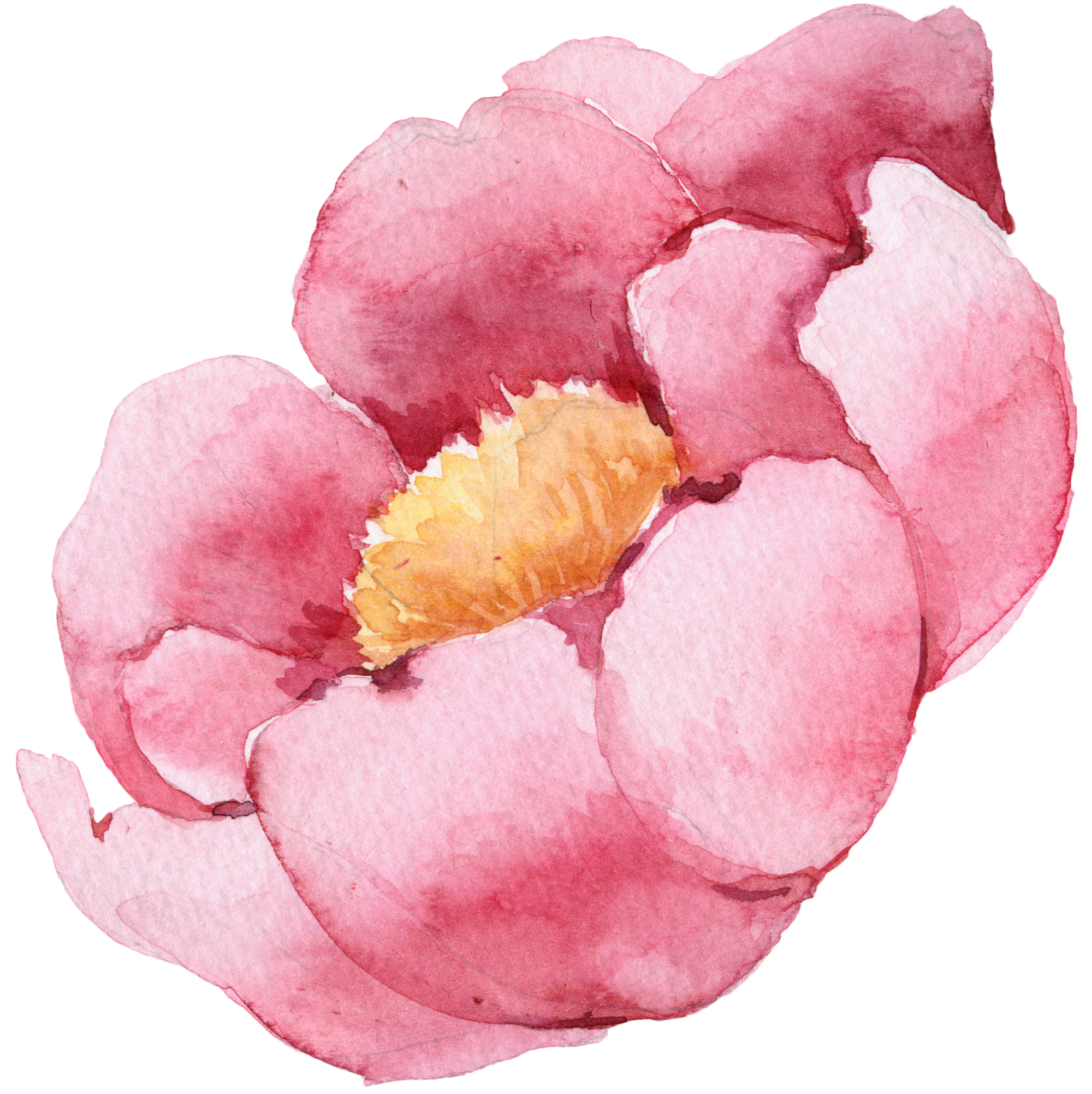 Peone.png