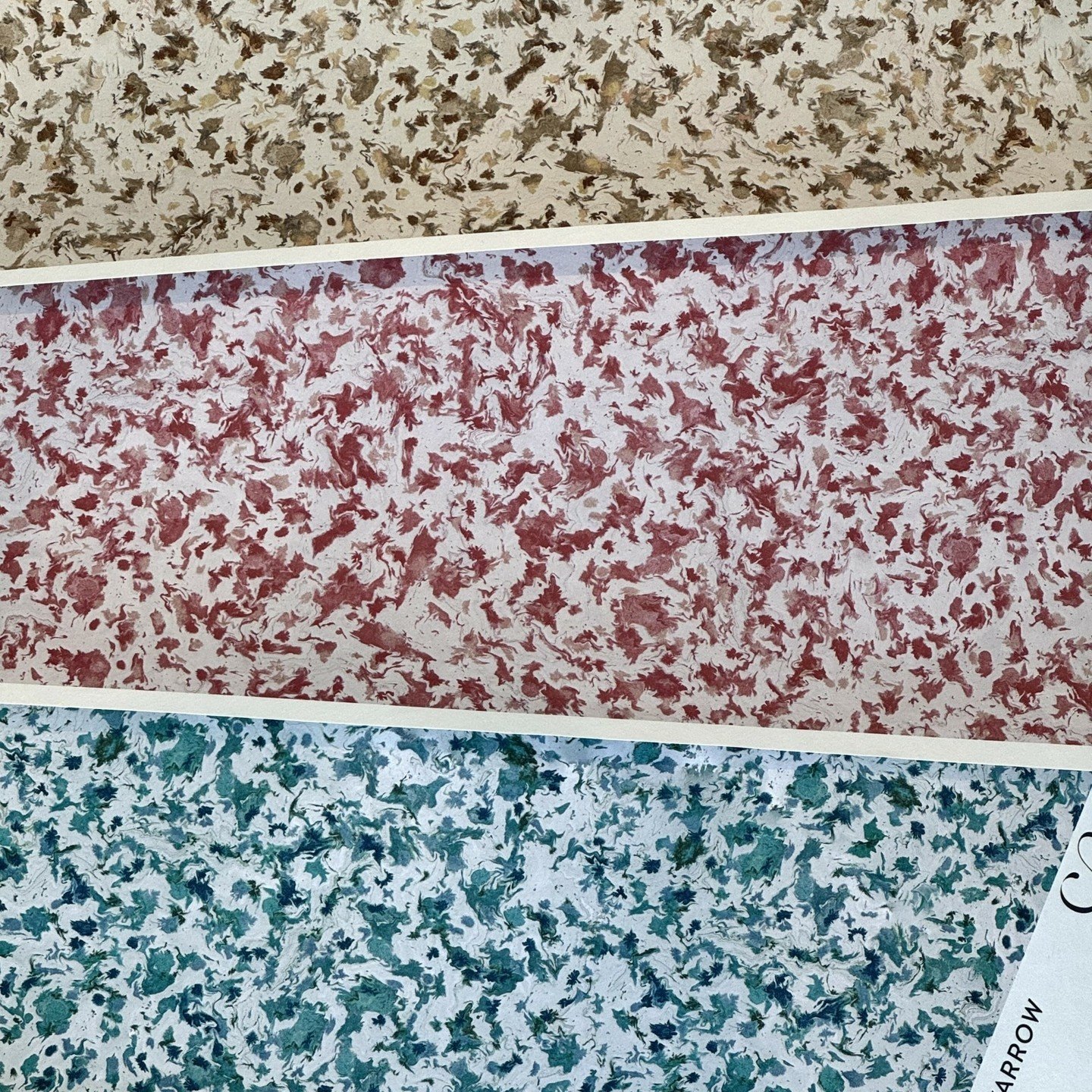 Mondsee Wallcovering has arrived in 3 colors: Arnica, Pasque and Yarrow (custom colorways, scale &amp; textiles available)!
.
.
.
#CADesign #CADesignWallpaper #CatAlexanderWallpaper