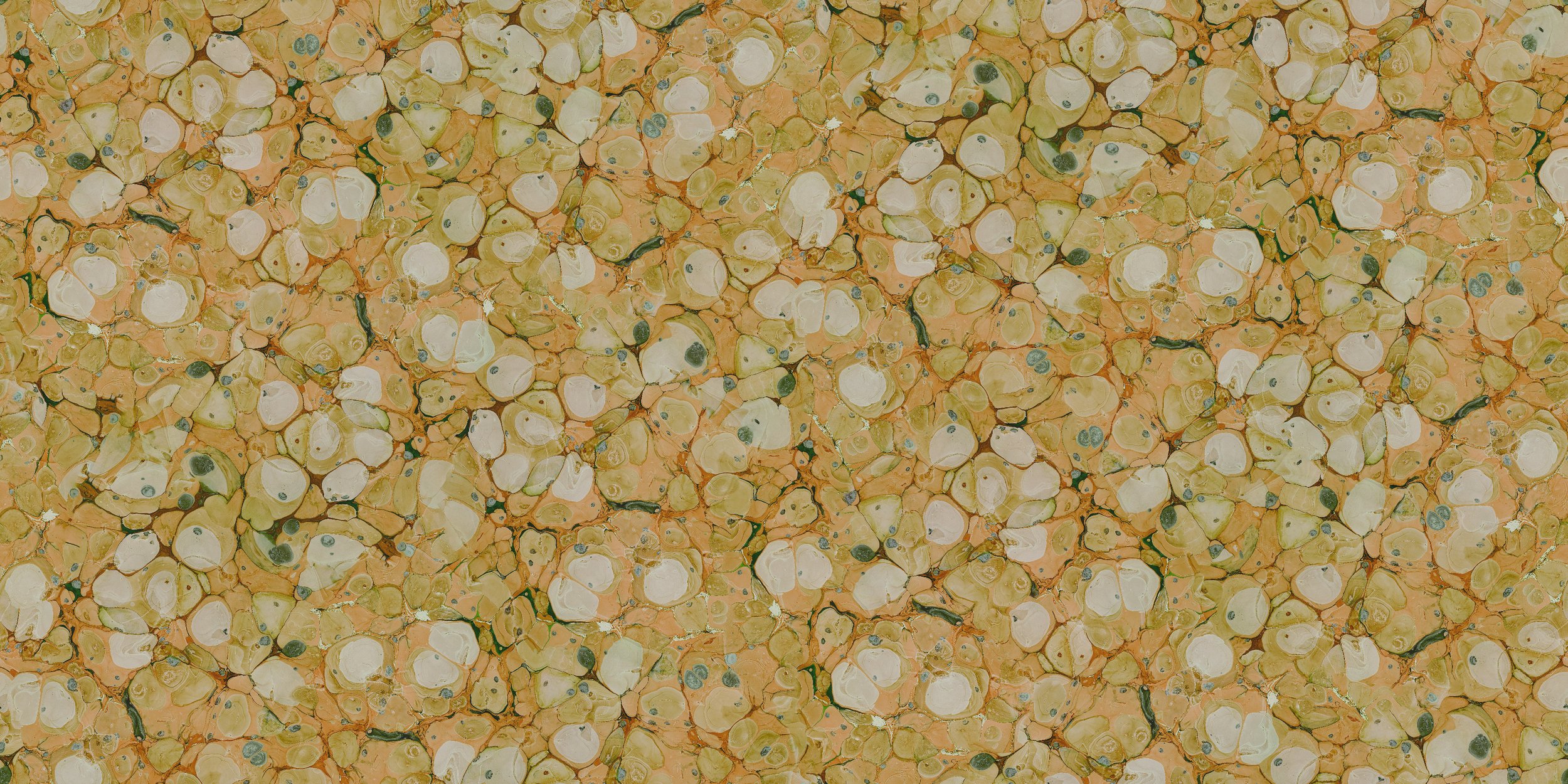CALYPSO_CLOWN_24x24 HD_Tile.jpg