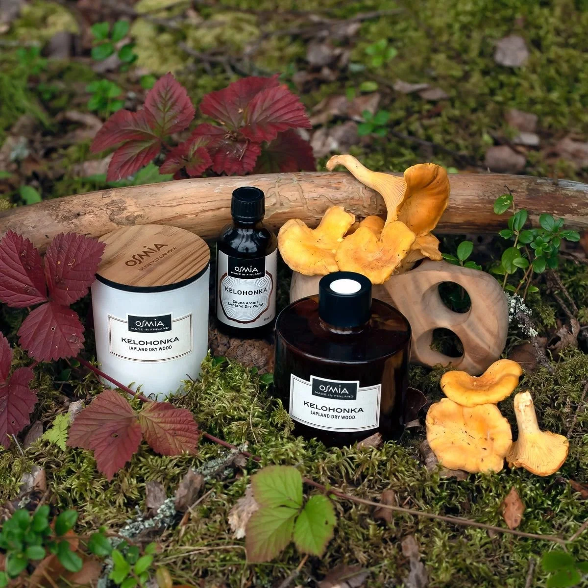 Untitled design (7).jpg