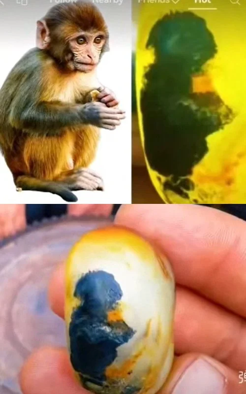 The design hidden in the stone