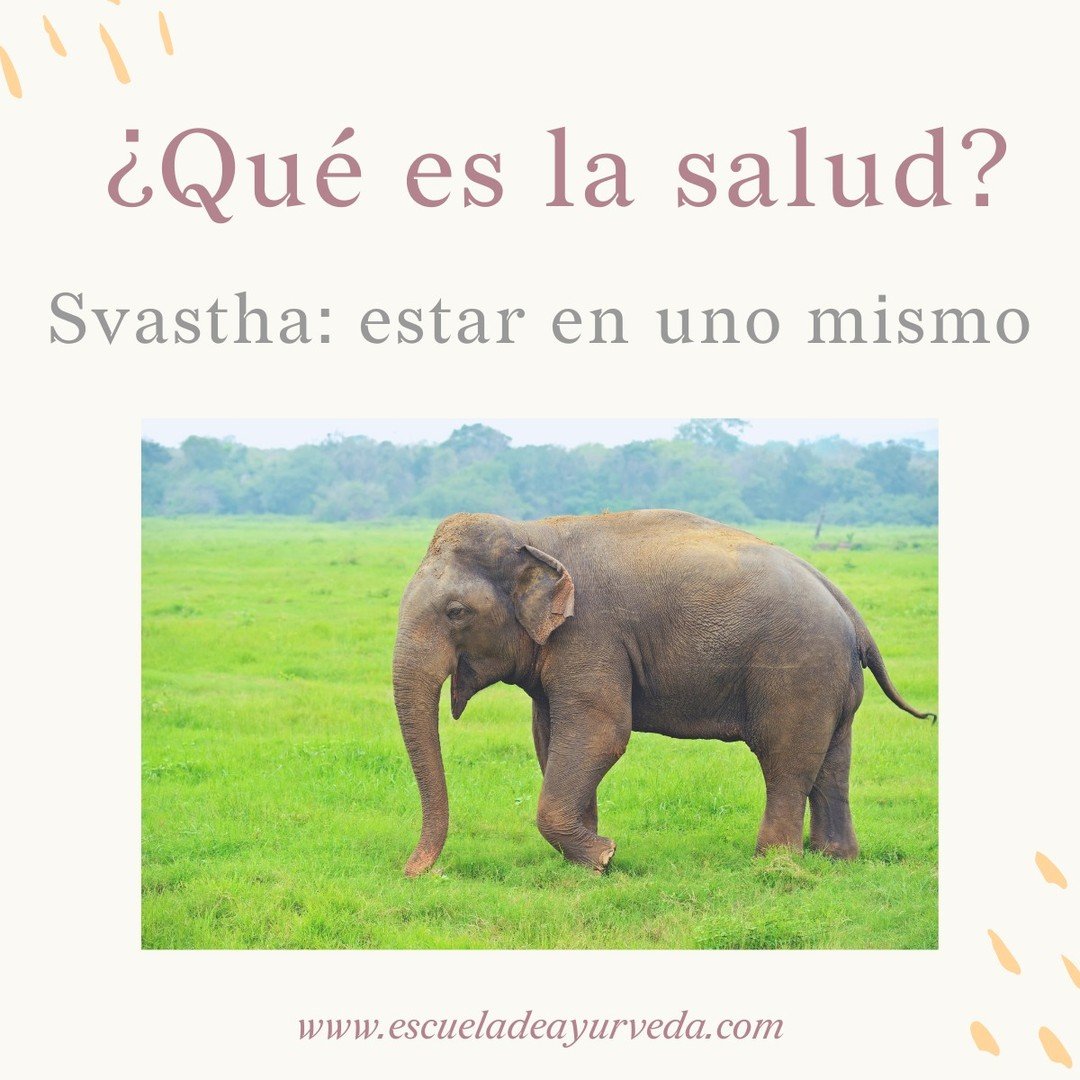 En Ayurveda, la palabra para &ldquo;salud&rdquo; no es salud.

Es Svastha, que significa literalmente: &ldquo;establecido en uno mismo&rdquo;.

Estar sano no es tener energ&iacute;a, ni estar delgado, ni que no duela nada.

Es habitarte.
Es vivir des