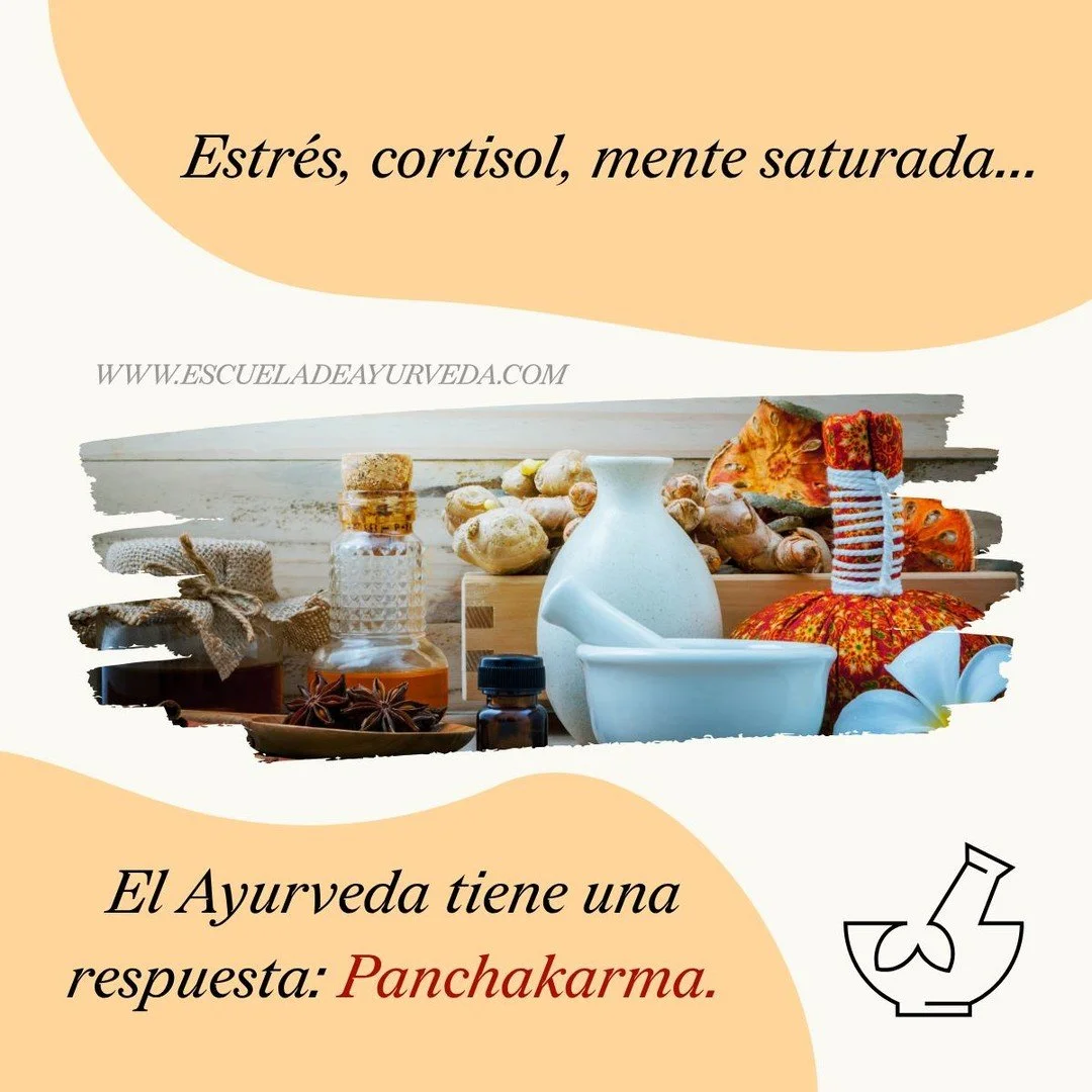 Panchakarma y el Estr&eacute;s Cr&oacute;nico: Evidencia que transforma

Hoy en el blog de la Escuela de Ayurveda exploramos los resultados de un metaan&aacute;lisis reciente que confirma lo que la tradici&oacute;n ayurv&eacute;dica ha sostenido dura