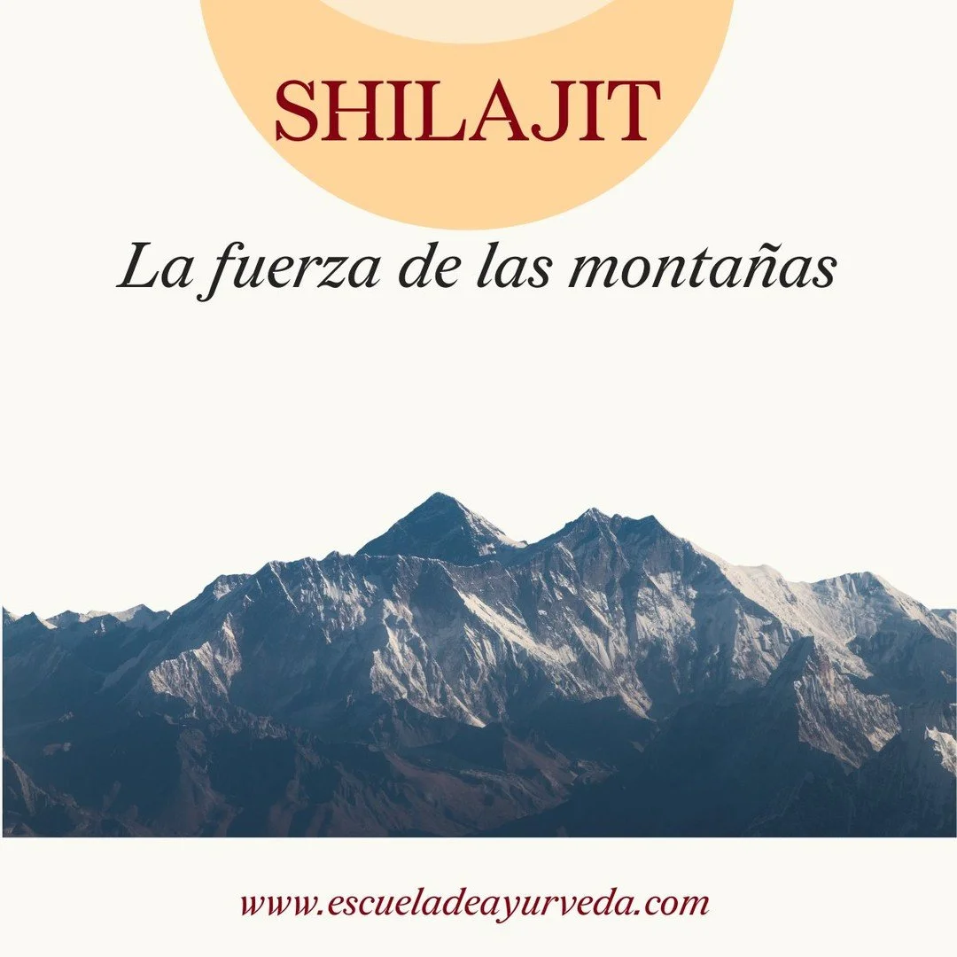 En la farmacopea ayurv&eacute;dica, el Shilajit es considerado uno de los rasāyana m&aacute;s potentes, es decir, un rejuvenecedor profundo. Su origen lo hace &uacute;nico: se forma durante siglos a partir de la descomposici&oacute;n mineral y vegeta