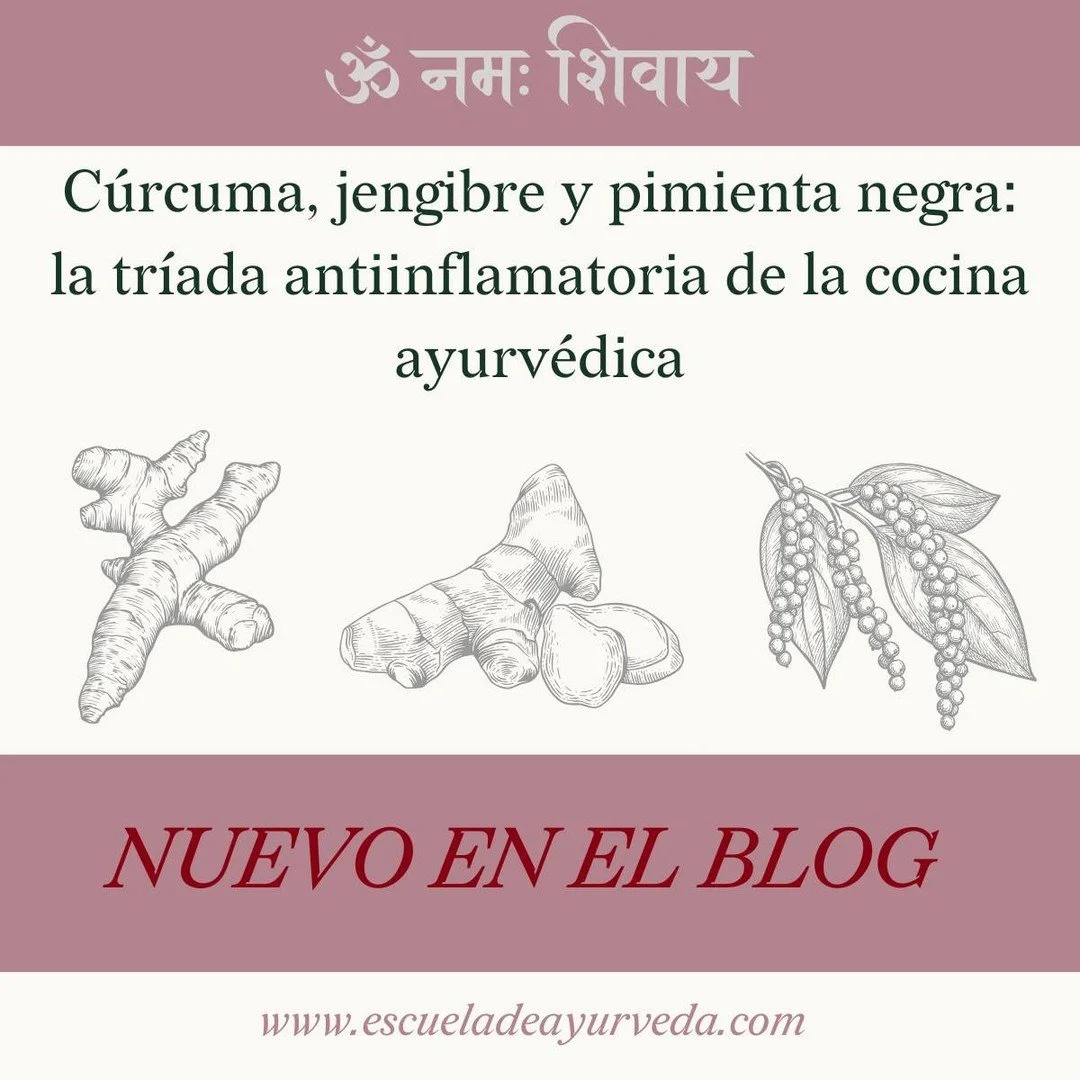 En el blog de la Escuela de Ayurveda hablamos hoy sobre c&oacute;mo estas tres especias, usadas desde hace milenios en la tradici&oacute;n ayurv&eacute;dica, encuentran hoy confirmaci&oacute;n en la ciencia moderna.

Curcuminoides, gingeroles y piper