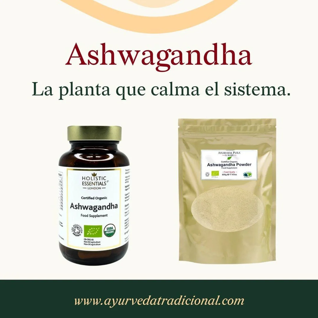 La Ashwagandha (Withania somnifera) es una de las plantas m&aacute;s valoradas del Ayurveda para regular el sistema nervioso.
No act&uacute;a como un sedante ni como un estimulante: restaura la capacidad adaptativa, devolviendo estabilidad cuando el 