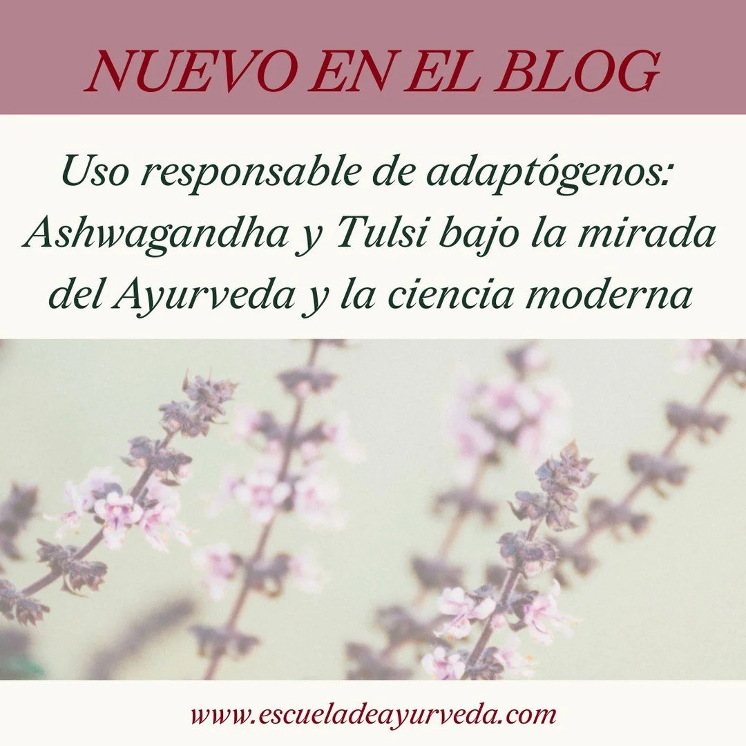 En el blog de la Escuela de Ayurveda abordamos un tema esencial: el uso responsable de los adapt&oacute;genos.

🌿 Ashwagandha y Tulsi son dos de las plantas m&aacute;s empleadas para modular el estr&eacute;s, la energ&iacute;a y el equilibrio hormon