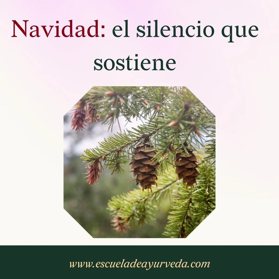 En Ayurveda, cada estaci&oacute;n es un movimiento interno.

El invierno no es solo fr&iacute;o: es una invitaci&oacute;n natural al recogimiento, a la quietud y al fortalecimiento profundo.

Una estaci&oacute;n donde el cuerpo pide menos ruido y m&a