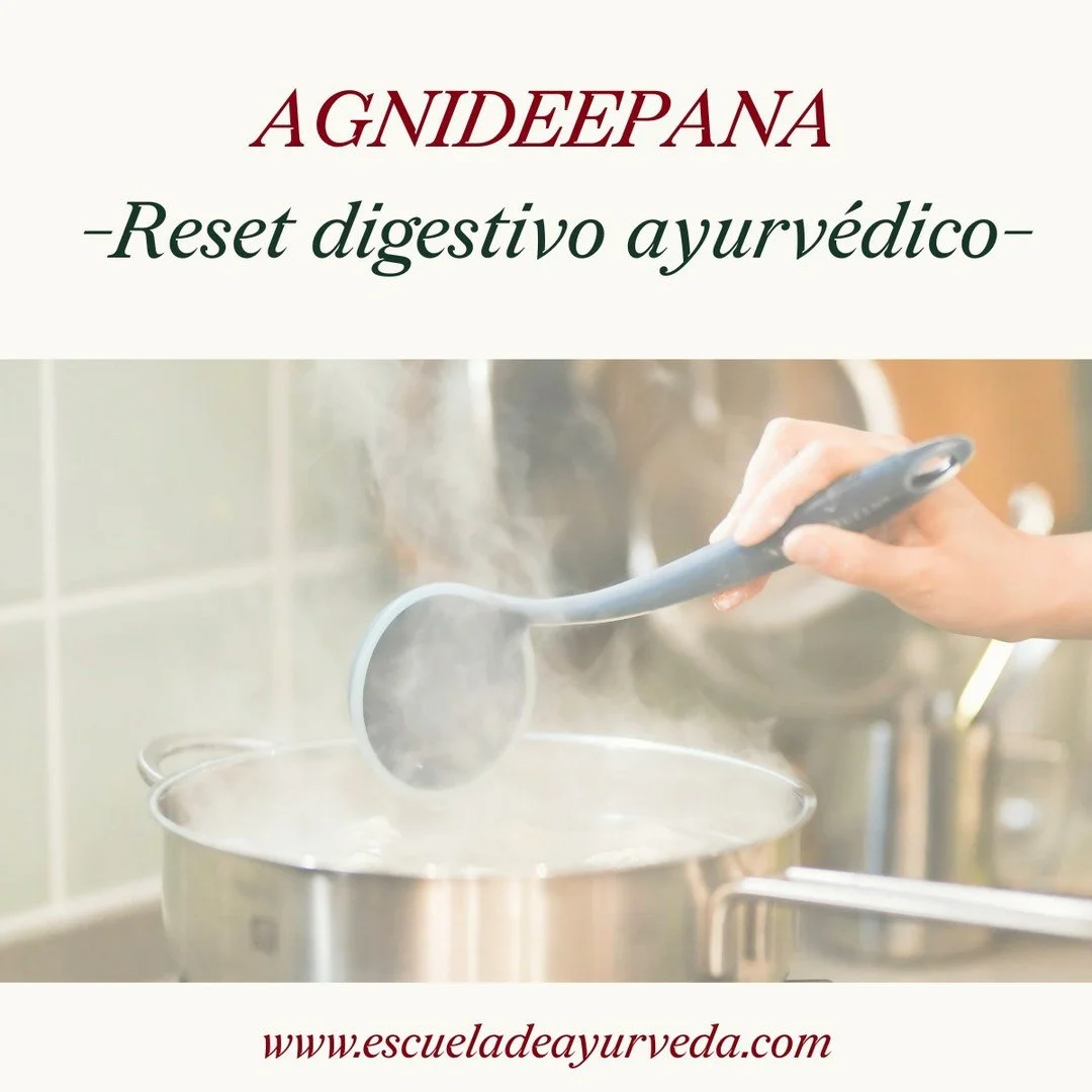 En Ayurveda, el concepto de &ldquo;detox&rdquo; no se entiende como una limpieza r&aacute;pida ni como un m&eacute;todo agresivo.

El enfoque real es Agnideepana: recuperar la funci&oacute;n digestiva y metab&oacute;lica despu&eacute;s de un periodo 