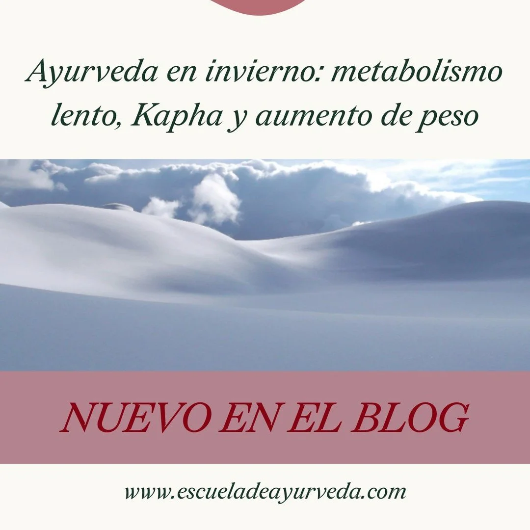 En invierno, el metabolismo no &ldquo;falla&rdquo;: se adapta.

El aumento de Kapha, la digesti&oacute;n m&aacute;s lenta y la tendencia a ganar peso forman parte de un ajuste fisiol&oacute;gico propio de la estaci&oacute;n.

En el blog de hoy aborda