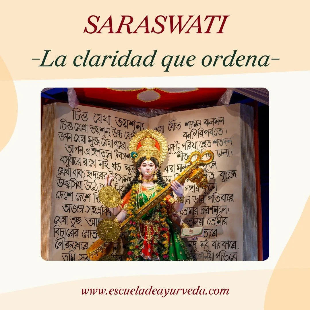 Hoy, la tradici&oacute;n v&eacute;dica celebra Basant Panchami, un d&iacute;a dedicado a la energ&iacute;a de Saraswati: la inteligencia que ordena, la claridad que organiza y el conocimiento que sostiene toda transformaci&oacute;n.

En Ayurveda, est
